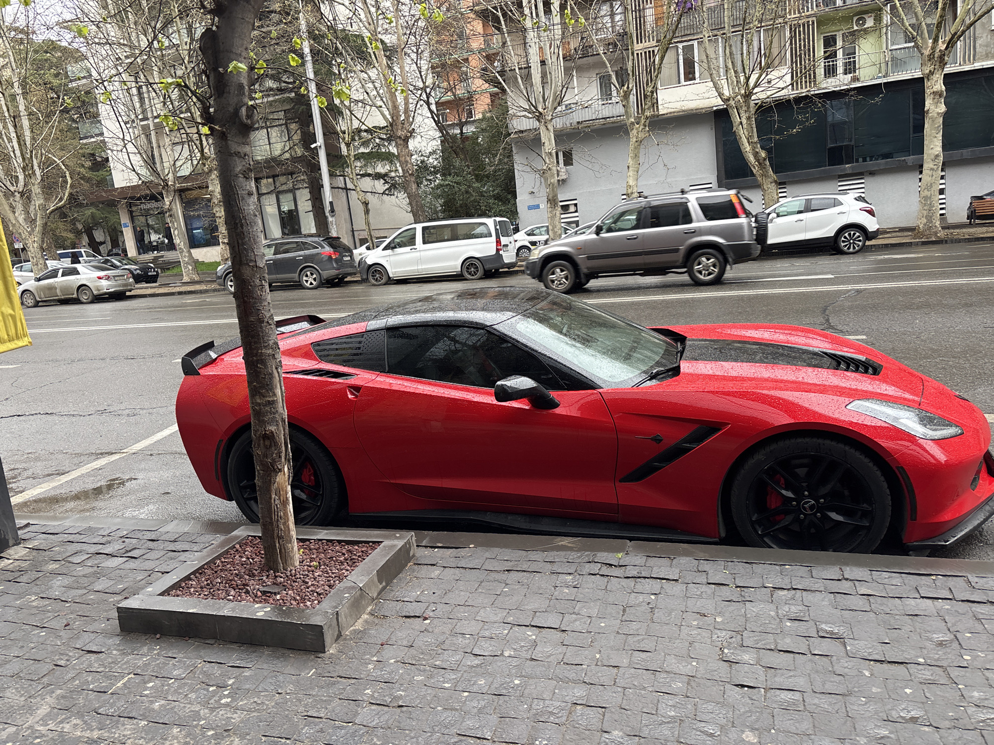 The image shows a red Corvette parked on a cobblestone street in Tbilisi, Georgia. The car is partially obscured by a tree in a stone planter. The car is wet, indicating it has recently rained. Several other cars are parked along the street in the background, including a gray SUV, a white minivan, and other sedans. The buildings in the background are multi-story apartment buildings with trees lining the street. The sky appears overcast.