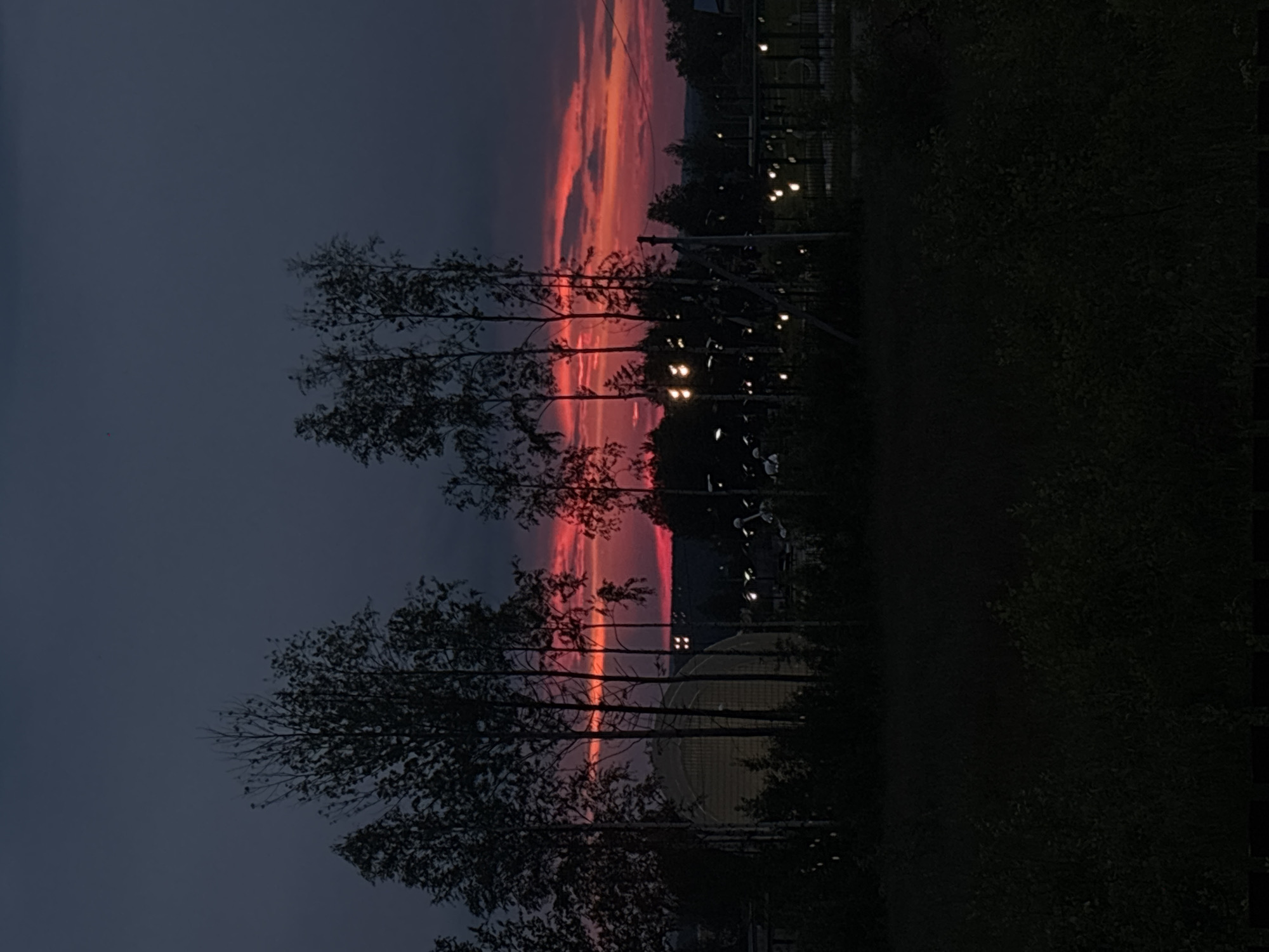 The image depicts a twilight scene in Gubakha, Russia, characterized by a dramatic sky ablaze with vibrant red and orange hues, indicative of a sunset or sunrise. Silhouetted against this colorful sky are several trees, their branches stark and defined. In the mid-ground, a large, dome-shaped building is visible, possibly a sports facility or industrial structure. Further back, a series of lights, appearing as small, bright orbs, are scattered across the landscape, suggesting the presence of a town or recreational area. The foreground is dominated by darkness, with the dense foliage of trees and bushes obscuring any finer details. The overall impression is one of a serene yet striking natural phenomenon occurring in an urban or semi-urban environment.
