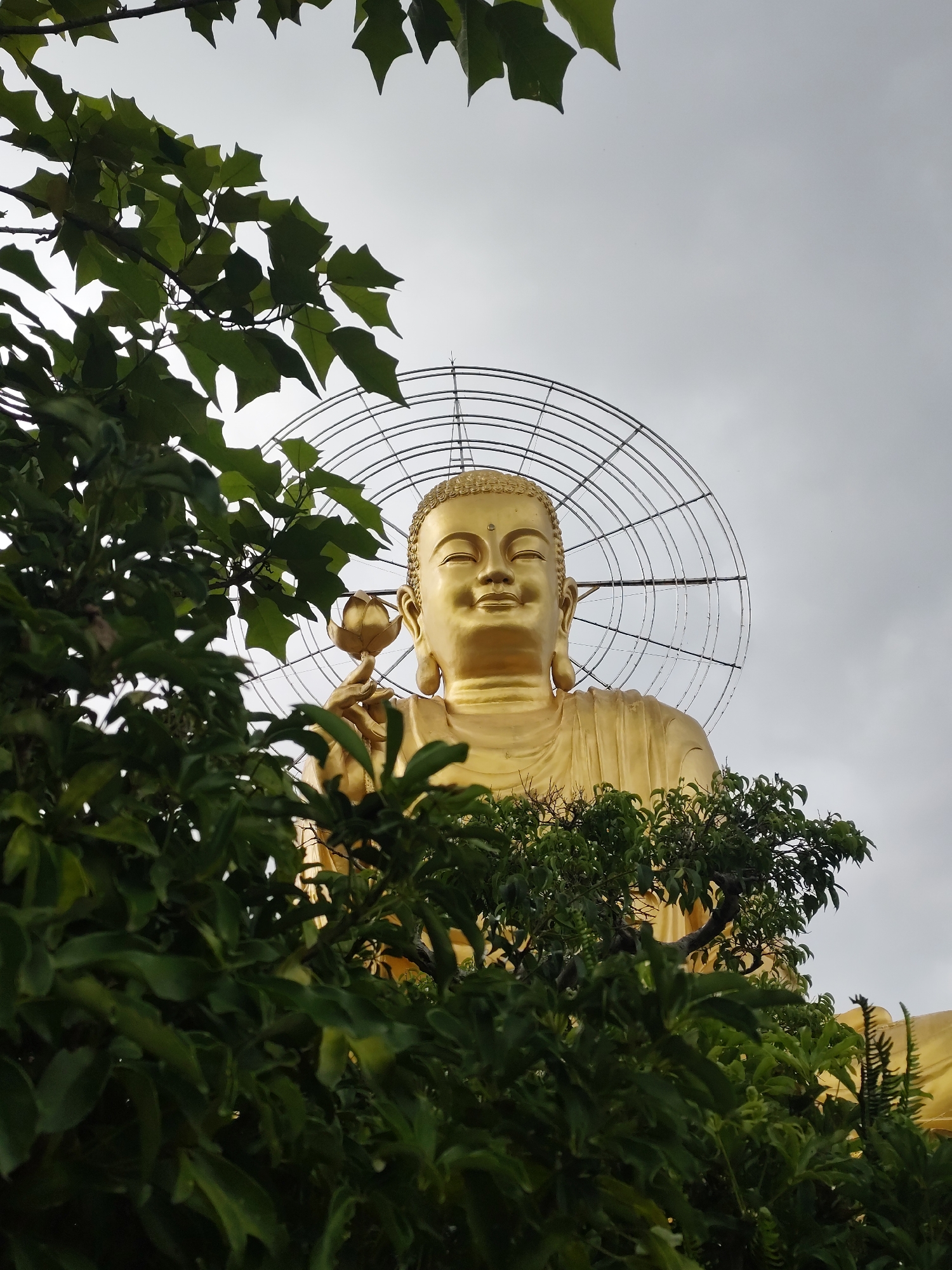 A low-angle, outdoor shot showcases a colossal golden Buddha statue with its head and upper torso visible, set against a pale, overcast sky. The statue is partially obscured by lush green foliage in the foreground. The Buddha's serene face, with closed eyes, is illuminated by soft light. It holds a golden lotus flower in its right hand, and its left hand rests on its lap. Behind the statue, a large, circular metallic halo structure is visible. This statue is located at the Linh An Pagoda in Da Lat, Lam Dong Province, Vietnam, a popular tourist destination known for its giant Buddha statue and beautiful natural surroundings.