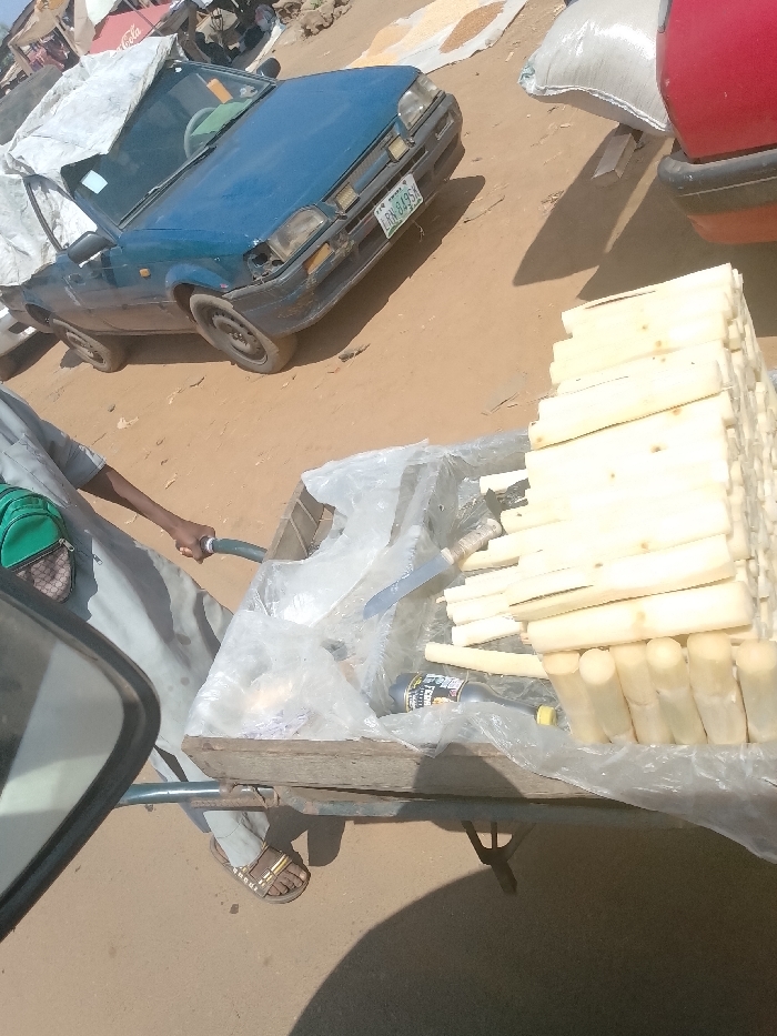 The image depicts an outdoor market scene in Omupo, Nigeria, under bright daylight. In the foreground, a person, visible from the mid-torso down, stands beside a wooden pushcart. The person wears a light grey garment, brown and black sandals, and a green shoulder bag. Their right hand holds a dark green hose or pipe aimed towards the cart.
The cart is filled with goods, primarily a large, neatly stacked pile of peeled sugarcane sticks, light yellow in color. The cart's interior is lined with clear plastic sheeting. Also present within the cart are two large knives or machetes with light-colored handles and at least two dark-colored bottles, one of which has a label partially visible.
In the midground, an older model blue sedan is parked on unpaved, light brown earth. The car's rear section is covered by a white tarp, and its front bumper shows visible damage. The vehicle's license plate, "LRN 849SK", is legible. Adjacent to the blue car, the rear section of a red vehicle is partially visible.
The background shows additional white sacks, presumably containing goods, and several piles of light-colored grain spread on the unpaved ground, suggesting an agricultural market. Indistinct structures and vehicles are visible further in the background. Shadows indicate strong overhead lighting.