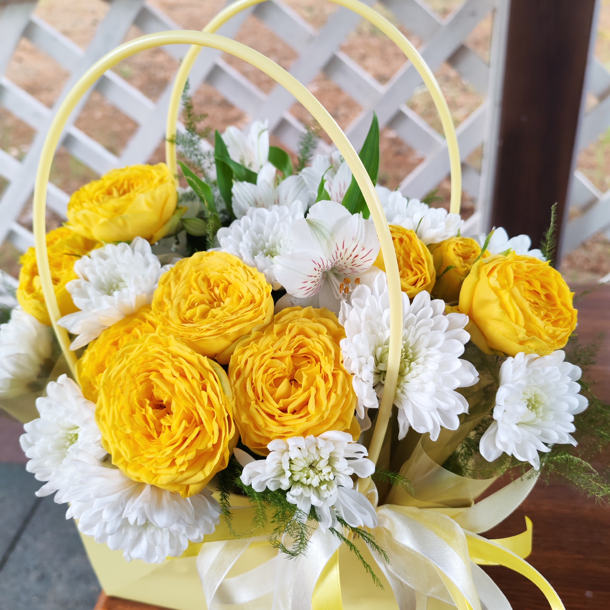 A flower arrangement in a yellow container with yellow handles is the central focus of the image. The arrangement consists of yellow roses, white chrysanthemums, and a few sprigs of greenery. A white and yellow ribbon is tied around the container. The background includes a white lattice fence, a dark brown vertical post, and what appears to be a wooden surface on which the arrangement is sitting. The arrangement is well-lit, and the colors are vibrant. The setting is outdoors. The location is not evident from the image and cannot be determined.