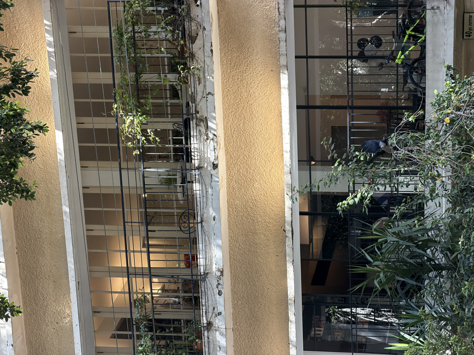 The image depicts the facade of a multi-story building located at 40 Yarden Street, Tel-Aviv, Israel, as indicated by a partial street sign. The building features light yellow stucco walls with white horizontal trim separating floors.
The upper visible level (likely a second story) includes a balcony with a black metal railing. Behind the railing, a set of large glass doors with white frames and grid patterns provides access to an interior space. On the balcony, potted plants are visible, along with a small table and two chairs. The concrete ledge beneath the railing shows peeling paint and exposed concrete. Overhanging green foliage from an unseen tree is visible at the top of the frame.
The lower visible level (likely a first story or ground floor) also features a balcony or recessed area with a black metal railing. Behind this railing, a large expanse of glass panels with black frames reflects surrounding elements. On this lower level, several potted plants, including those with tall, spiky leaves, are arranged. A bright green bicycle with black tires is parked to the right. A dark-feathered bird is captured mid-action, either landing or taking flight, with its wings spread, positioned among the foliage on this level.