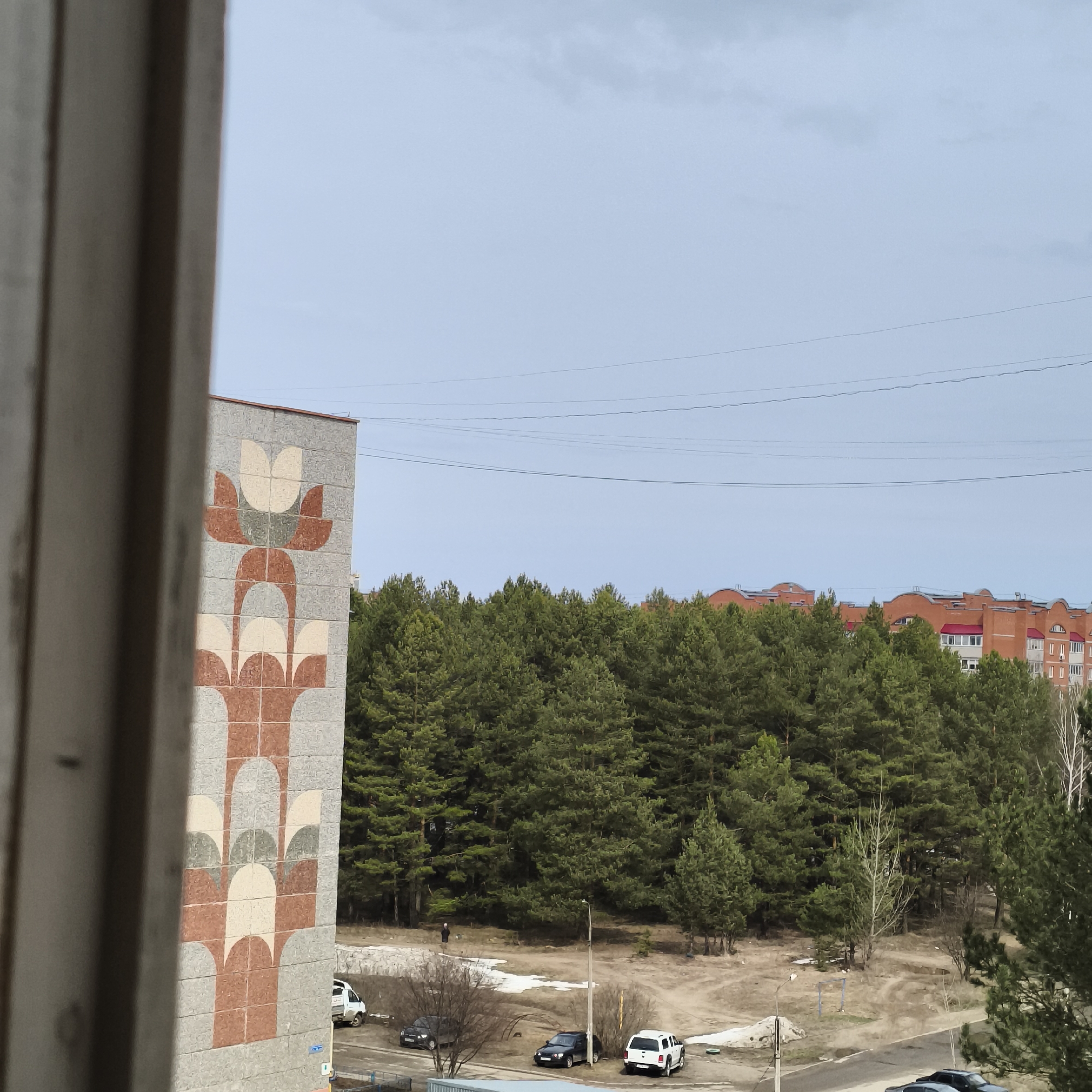 The image shows a view from an elevated position, possibly a window, in Chaikovsky, Russia. In the foreground, part of a building with a decorative pattern on its facade is visible. Beyond that, there is a dense forest area, with red brick buildings visible in the distance behind the trees. A parking area with several cars is in front of the forest. Overhead power lines run across the sky, which is light blue. The scene suggests a residential area bordering a forested park or green space in Chaikovsky.