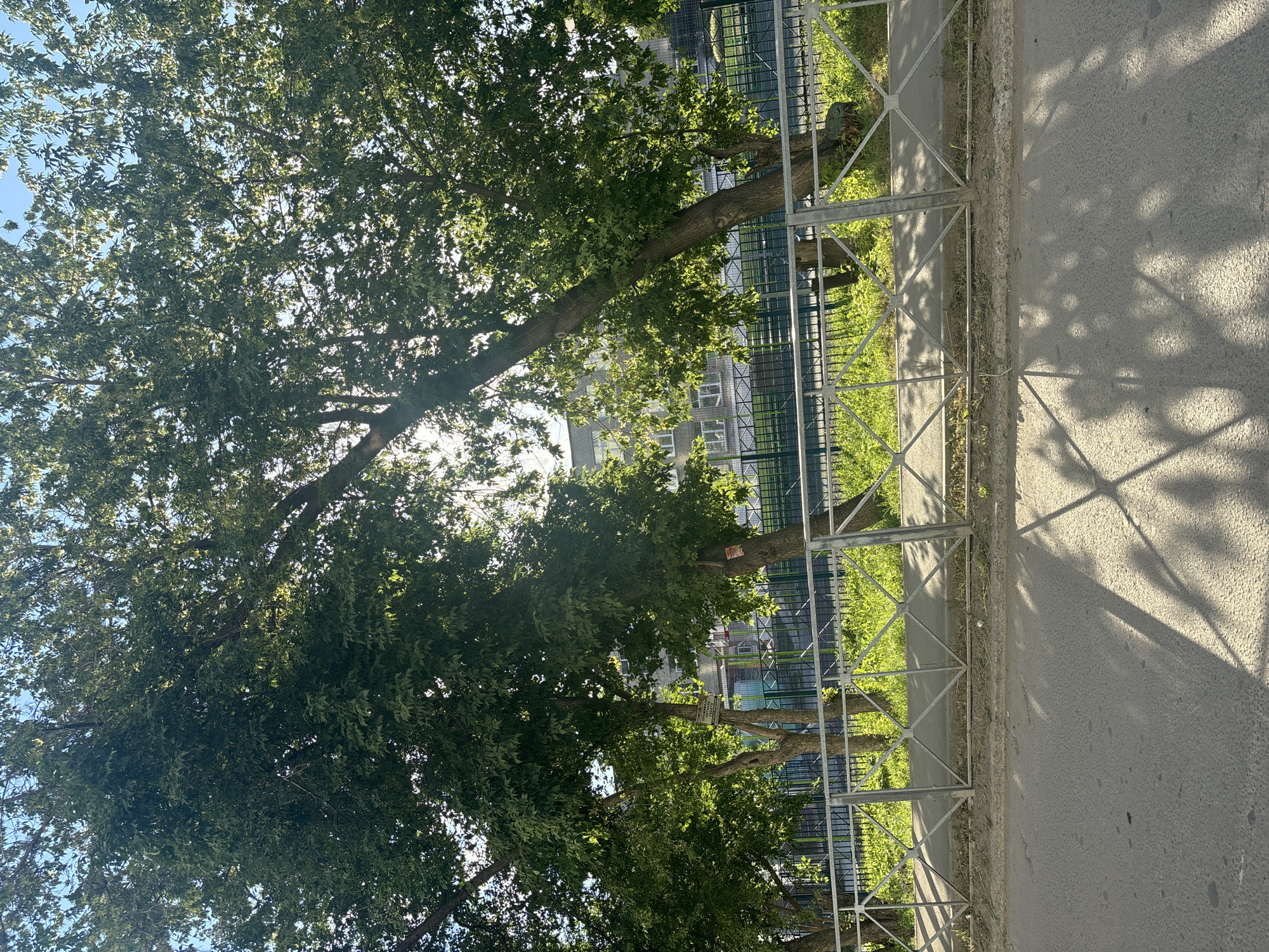 The image shows a street scene with mature trees lining a sidewalk, a metal fence, and a building in the background. The trees have dense green foliage, and sunlight filters through their leaves, casting dappled shadows on the asphalt road. The sidewalk is paved and runs parallel to the road, separated by a strip of grass and dirt. The fence is made of silver-colored metal with a diamond pattern in its lower section. Behind the fence, there's a well-maintained grassy area and the trunks of several trees. The building in the background appears to be a school or similar institution, with a light-colored facade and multiple windows. The sky is a clear blue. There are no people visible in the frame, and no direct interaction is captured. The scene depicts a typical urban environment on a sunny day. The image was taken in the city of Ob, Russia.