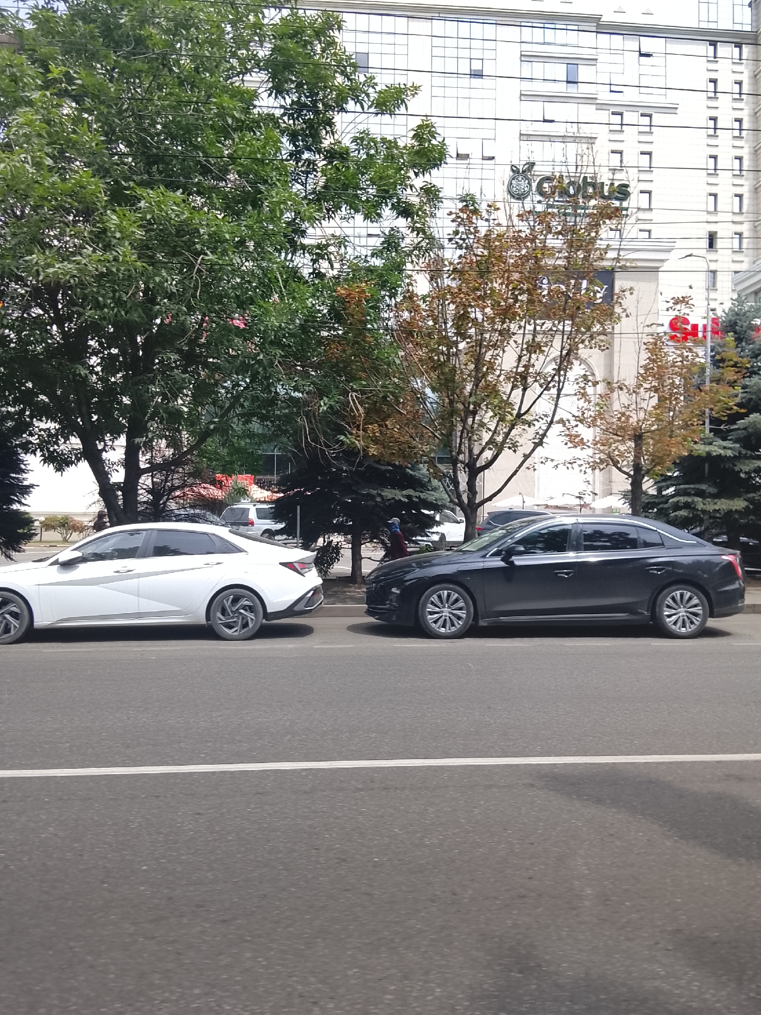 The image depicts a street scene in Almaty, Kazakhstan, under a partly cloudy sky. In the foreground, a gray asphalt road is visible with a white lane marking. Two sedans are parked alongside the road: a white sedan on the left and a dark gray sedan on the right. Behind the cars, a modern white building with numerous windows and the "Globus" logo is visible. Trees with green and autumn-colored foliage are interspersed between the cars and the building. A traffic light is visible on the right side of the image, and there appears to be a pedestrian walking in the background on the left. The overall scene suggests an urban environment with commercial and residential elements.