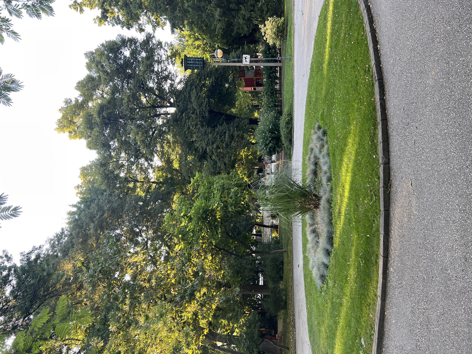 A vertical shot captures a sunlit park scene. A paved pathway curves through lush green grass, bordered by dark grey cobblestones. The path is lined with ornamental grass and a variety of trees, their leaves illuminated by the sun, casting dappled shadows. In the mid-ground, a street lamp with a distinctive caged top and a spherical light fixture stands near a small playground structure with red and yellow elements. A sign with a silhouette of two dogs is attached to the lamp post. The overall atmosphere is peaceful and serene, suggesting a pleasant day in a well-maintained urban park. The sun appears to be low in the sky, possibly late afternoon, given the long shadows and warm light.