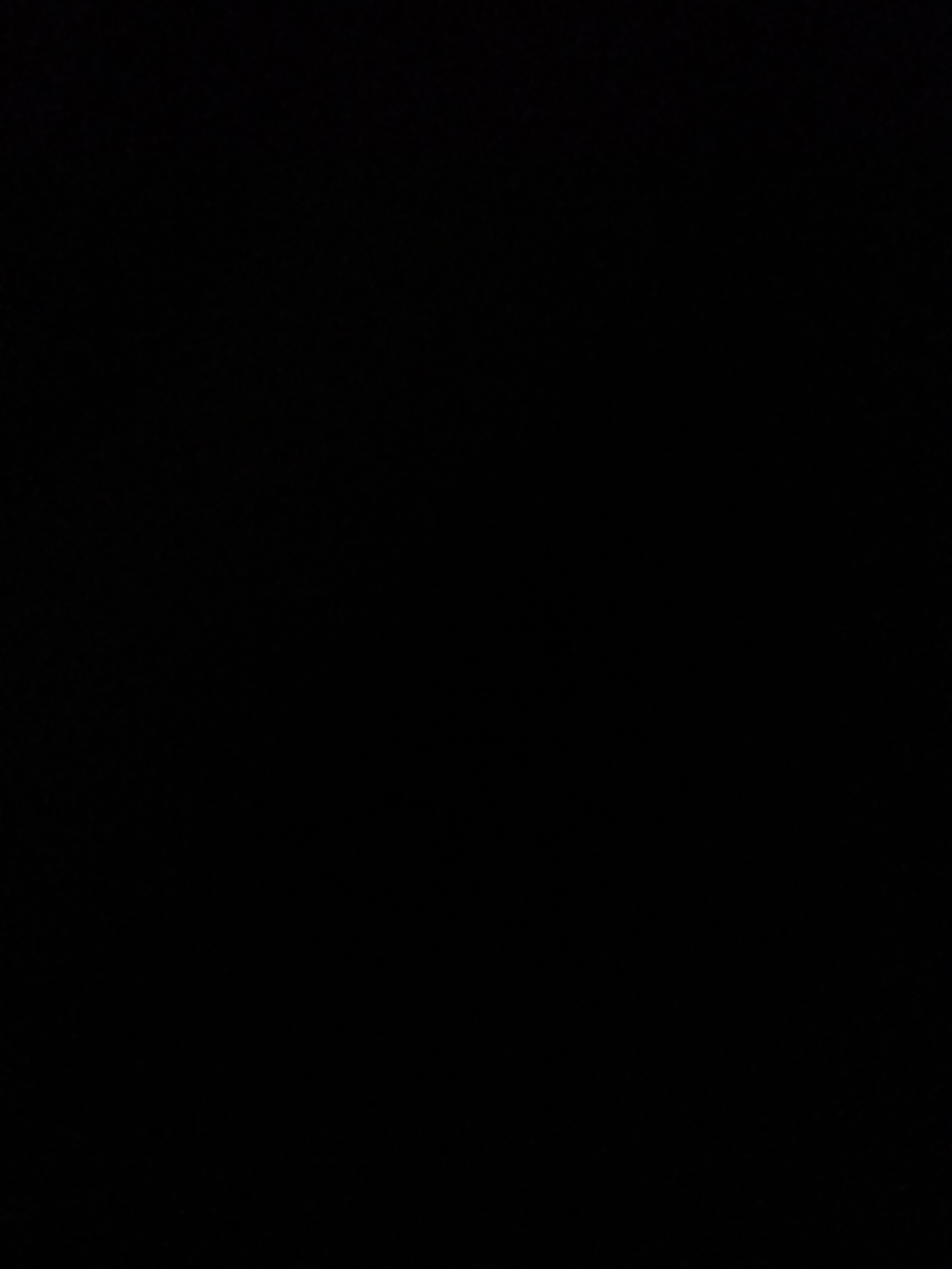The image is a completely black rectangle. There are no discernable subjects, objects, scenes, activities, or details of any kind. The image does not depict a time of day, weather, location cues, or emotions. There is no visible text.