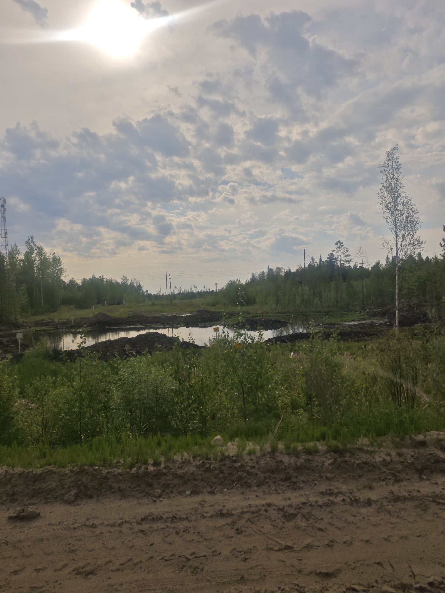 The image captures a partially developed natural landscape under a bright, partly cloudy sky. In the foreground, a wide, rough dirt road or path stretches across the bottom of the frame, showing tire tracks and small rocks. Beyond this, the middle ground features an area with several dark, irregular puddles or small ponds, reflecting the sky. These water bodies are surrounded by mounds of dark earth and abundant patches of vibrant green vegetation, including tall grasses and small bushes. Small white markers or stakes are visible in the ground near the water, and a few yellow markers or signs are faintly discernible in the distance.
A dense forest dominates the background, composed of a mix of deciduous trees, such as slender, light-barked birches, and darker conifers. Power lines and utility poles extend across the treeline in the mid-distance. On the far left, a section of a tall metal telecommunication or transmission tower is partially visible. The sky is a prominent feature, filled with scattered cumulus clouds, and a brilliant sun shines brightly in the upper left quadrant, creating a strong glare.
No people are visible in the scene. The disturbed earth, the presence of the water bodies that appear to be excavated or modified, and the various markers suggest an ongoing or recently completed land development, clearing, or environmental project. The scene is illuminated by daylight, indicative of late morning or afternoon. No legible text is visible on any objects or signs.