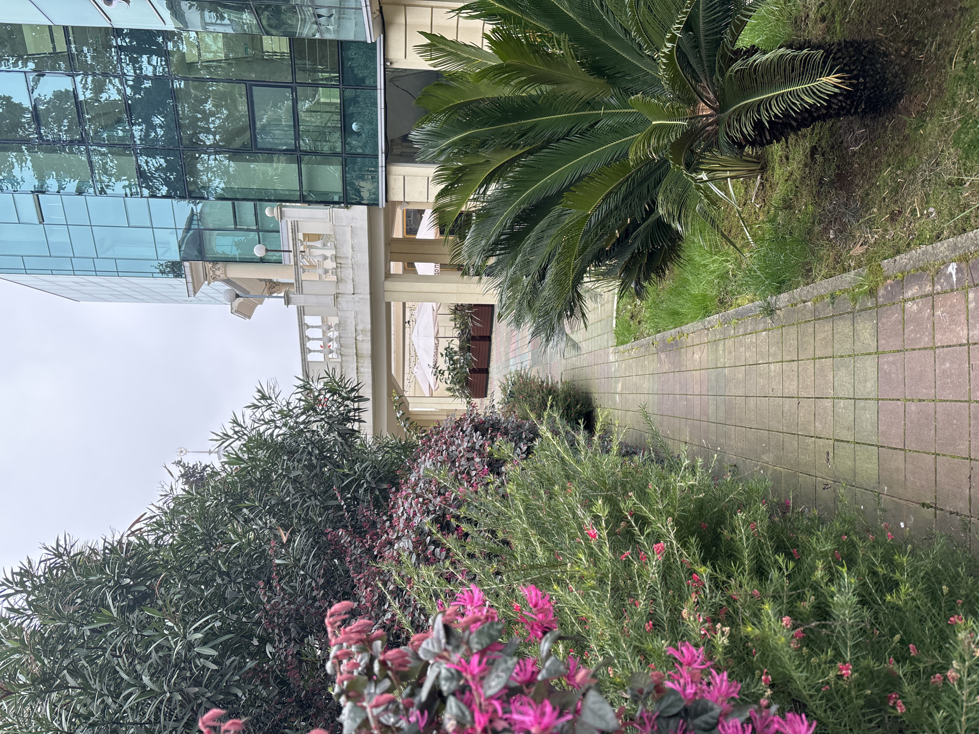 The image depicts a garden pathway in Sochi, Russia, adjacent to a modern glass building and a classical-style building with a balustrade. A variety of plants, including flowering shrubs with pink blossoms and larger green trees, line the pathway. A cycad palm is situated to the right of the path. The pathway itself is made of square paving stones. The sky is overcast.