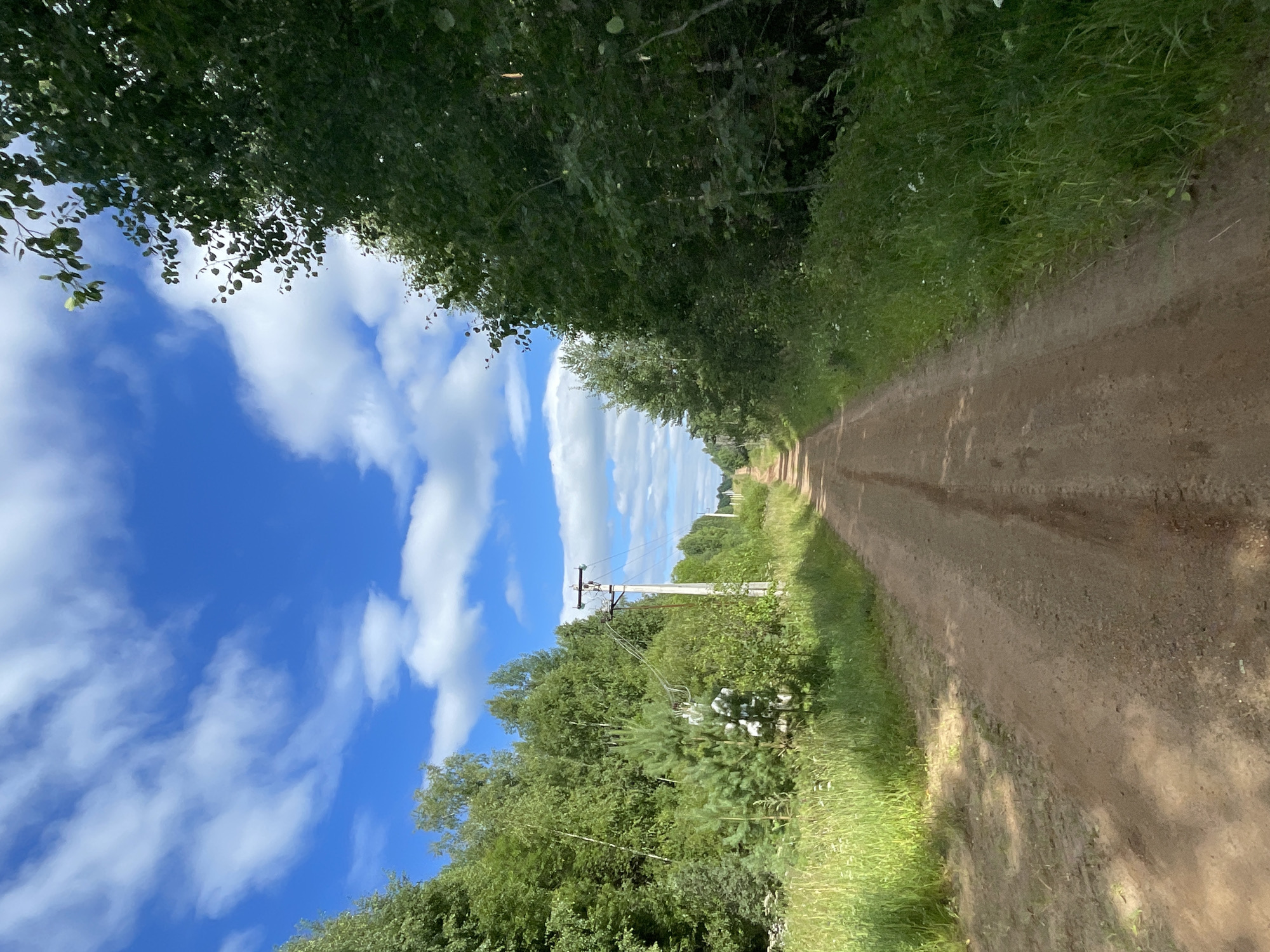 An eye-level, full shot depicts a dirt road leading through a rural landscape on a sunny day. The road, with visible tire tracks, is flanked by lush green trees and tall grass. On the left side of the road, a utility pole with wires is visible amidst dense foliage. The sky above is a vibrant blue, dotted with scattered white clouds. The scene is likely located in or around Dresvyanovo, Russia, given the characteristic rural Russian landscape. There are no people or animals present in the image. The overall impression is one of natural beauty and tranquility.