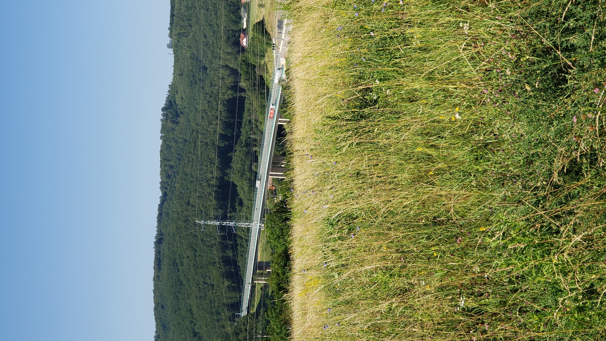 The image shows a scenic view of a highway overpass in Prešov, Slovakia, with a vast field of tall grass in the foreground and a densely wooded hill in the background. The overpass, a modern concrete structure supported by several pillars, spans across the landscape, carrying traffic. A tall electricity pylon stands prominently near the overpass, indicating the presence of significant power infrastructure. The sky above is a clear, bright blue, suggesting a sunny day. The field in the foreground is lush and overgrown with a variety of grasses and wildflowers, some of which are small and purple or yellow, adding touches of color to the verdant scene. The overall impression is one of a rural or semi-rural setting on the outskirts of the city, characterized by natural beauty and man-made infrastructure coexisting.