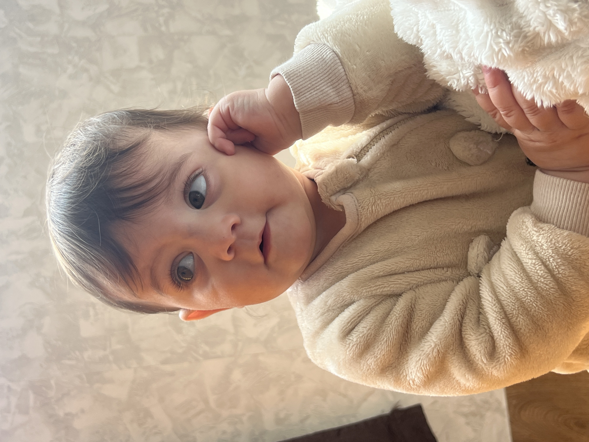 An infant is positioned centrally in a medium-shot photograph taken indoors in the city of Elena, Bulgaria. The subject, a baby with light skin, brown hair, and dark eyes, is clad in a light beige, long-sleeved, fuzzy one-piece garment featuring a front zipper and ribbed cuffs. The infant's gaze is directed upwards and to the right, with lips slightly parted. The right hand is raised, fingers curled, resting near the right ear. The left hand, partially visible, holds a section of a white, highly textured fuzzy material, possibly a blanket or another garment. The background consists of an off-white or light beige wall with a subtle, abstract, textured pattern. A dark brown, vertical object is partially visible on the far left edge, and a brown surface, likely a floor or furniture, is at the bottom left.