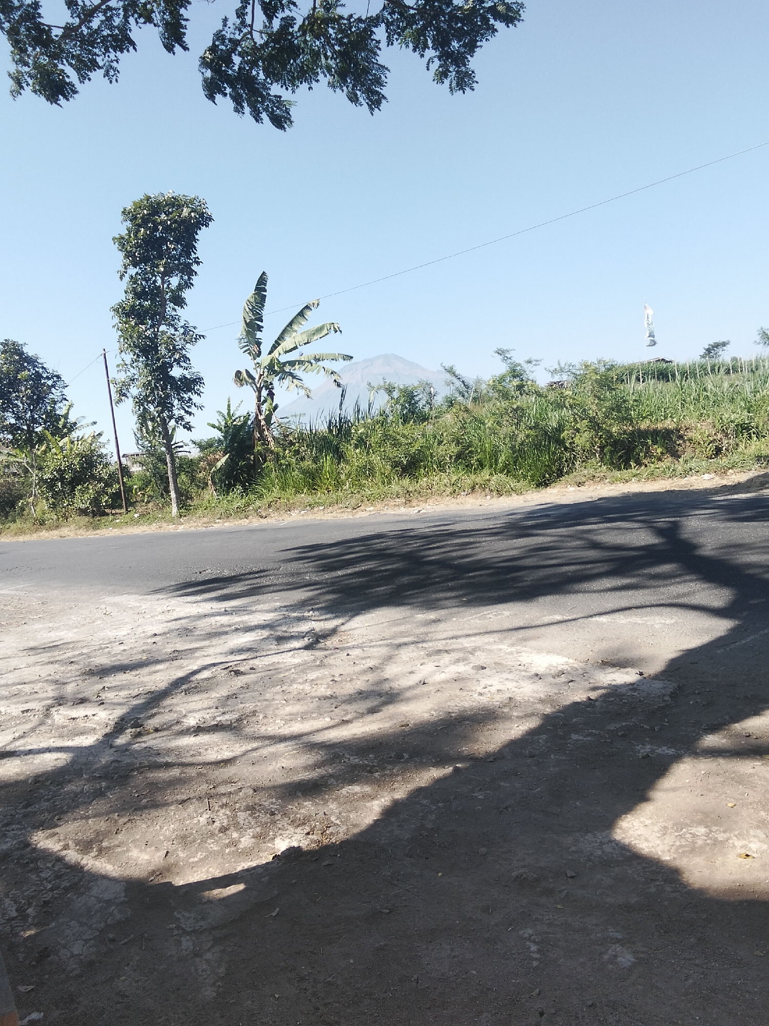 The image depicts a road passing through a rural area in Ngadirejo, Indonesia, on a clear day. The road surface is asphalt, with a rough, dusty shoulder on the left side where shadows from overhead trees are cast. On the right side of the road, a dense growth of vegetation, including tall grasses and trees, lines the embankment. In the distance, a mountain is visible, partially obscured by the foliage. A thin wire stretches across the sky above the vegetation, and a white flag on a pole is planted on the hillside. A tall, slender pole stands near the road on the left side, possibly for utility lines. The scene is one of natural landscape and rural infrastructure.