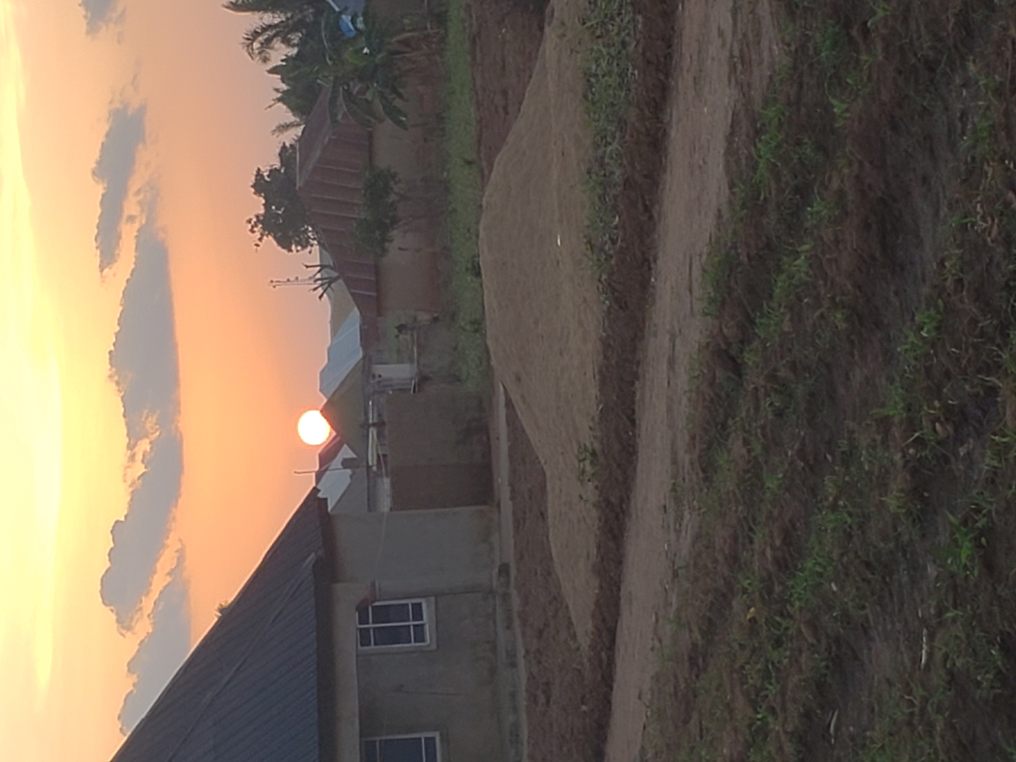 An outdoor, low-angle, vertical, full shot captures a hazy sunset over a rural scene. The sun, a bright orange orb, hovers just above the horizon, casting a warm glow across a sky filled with scattered, wispy clouds. In the foreground, a dirt path runs diagonally, flanked by a freshly tilled field with rows of young green shoots. To the left, a single-story concrete house with a dark metal roof and white-framed windows is partially visible. Behind it, more houses with corrugated metal roofs and some vegetation are discernible. A large mound of sand sits in the middle ground, suggesting construction or landscaping activity. The overall atmosphere is tranquil, with the fading sunlight creating long shadows.