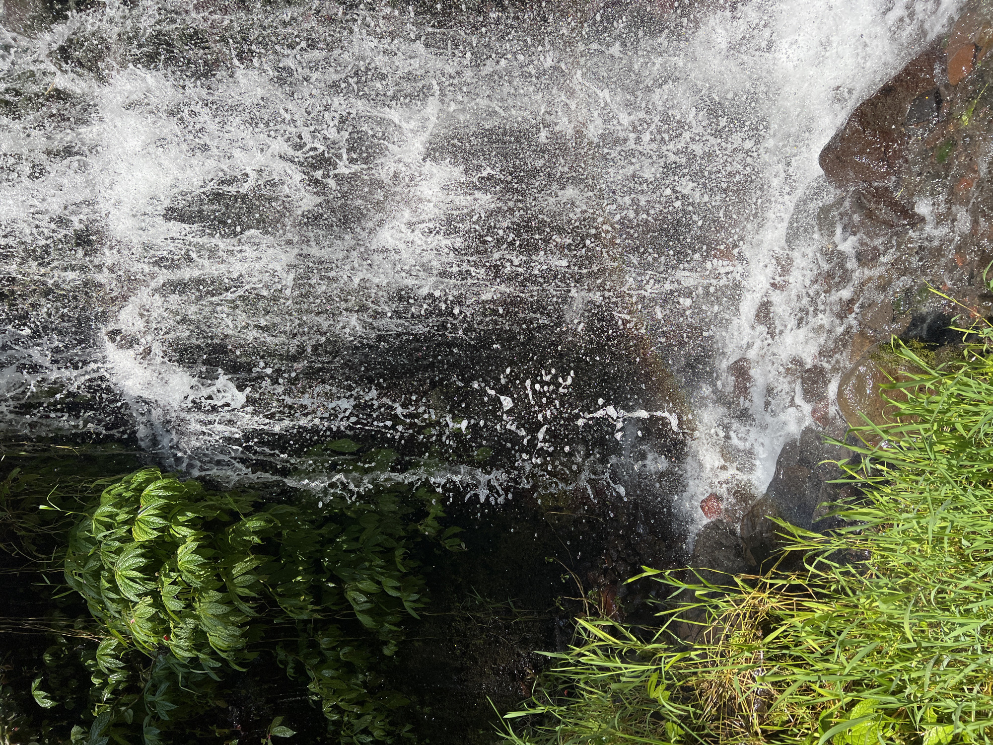 The image depicts a section of a waterfall in Busungbiu, Indonesia, characterized by a cascade of white water splashing against dark, wet rocks. Lush green foliage, including broad leaves and tall blades of grass, frames the left side of the waterfall. The water spray is dense, creating a dynamic and textured surface. A faint rainbow is visible within the mist at the base of the waterfall, hinting at the sunlight interacting with the water droplets. The ground beneath the falls is comprised of reddish-brown rocks and darker, wet stones. No people are present in the scene. The environment appears to be a natural, humid setting, typical of a tropical waterfall.