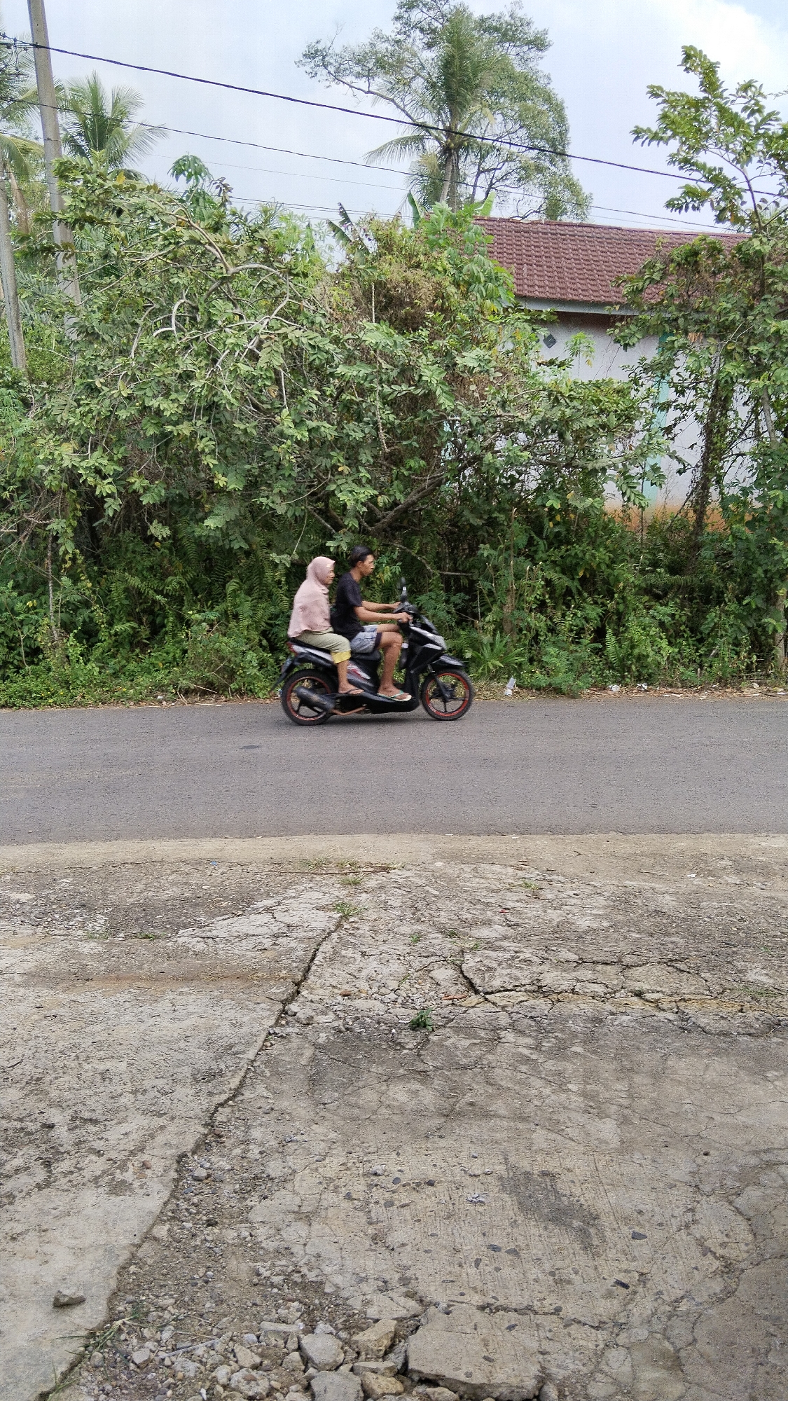 In Margatunggal, Indonesia, a man and a woman are riding a black motorcycle on a paved road. The man is driving, wearing a black t-shirt and shorts. The woman, seated behind him, is wearing a light pink headscarf and yellow pants. They are moving from left to right across the frame. The road is bordered by lush green vegetation, including trees and bushes. In the background, a house with a red tiled roof is partially visible through the foliage. The sky is overcast. The foreground of the image shows a cracked concrete surface with scattered debris.