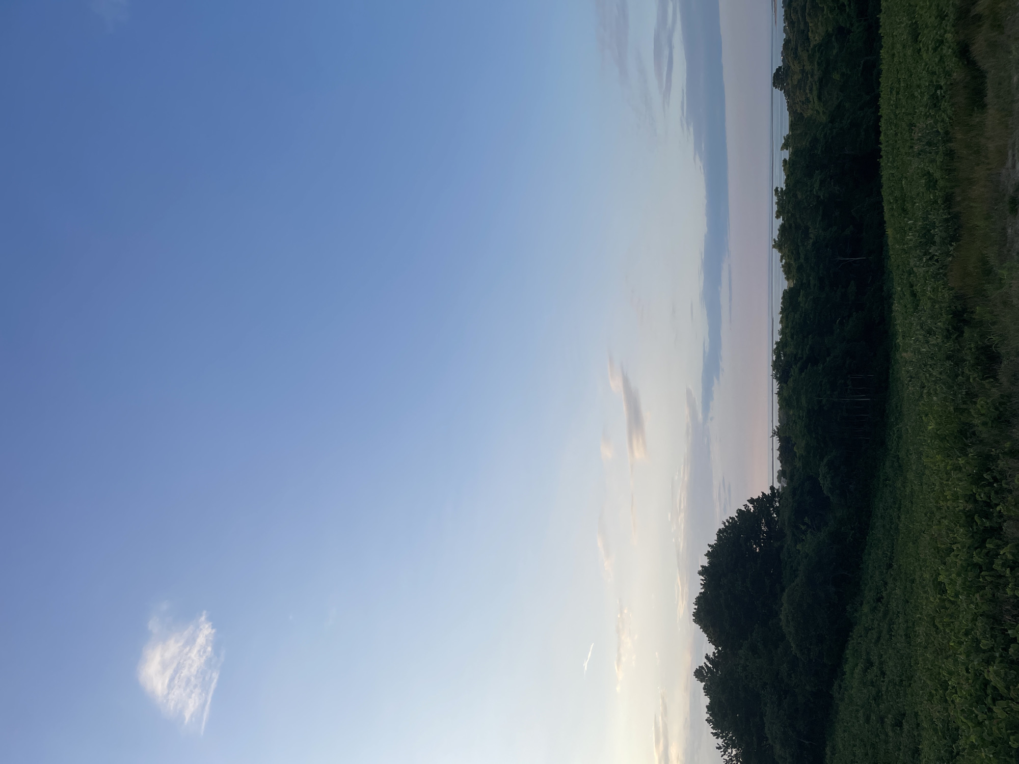 The image depicts a serene natural landscape under a vast, clear blue sky with a few wispy clouds. In the foreground, lush green vegetation, likely fields or low-lying bushes, stretches across the lower portion of the frame. Behind this, a dense band of dark green trees forms a rolling hill. Beyond the trees, a calm body of water, possibly the ocean or a bay, is visible, with a faint line of land or the horizon in the distance. The sky transitions from a pale blue near the horizon to a deeper blue overhead. The overall scene conveys a sense of tranquility and natural beauty. The location is identified as Nantucket, United States of America. There are no people or discernible human-made objects in the image.