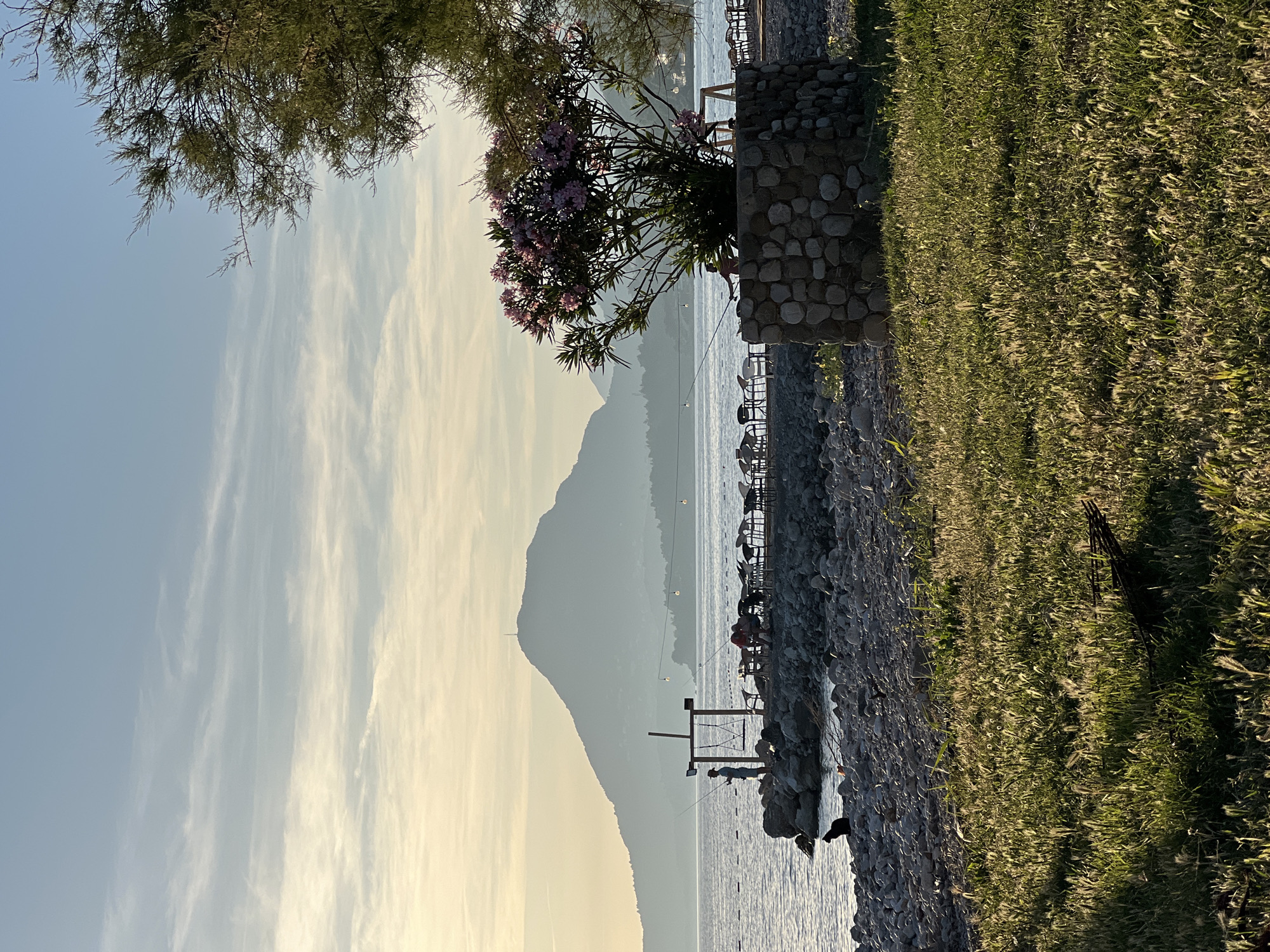 The image captures a tranquil scene by the sea in Bar, Montenegro, during the golden hour. In the foreground, lush green grass, illuminated by the setting sun, creates a soft, textured carpet. Beyond the grass, a rocky shoreline borders the calm sea.
Along the shore, a cluster of outdoor tables and chairs suggests a small cafe or restaurant. In the middle ground, a person stands on the rocky embankment, fishing, with a fishing rod extended into the water. Nearby, a dark-colored cat is perched on the rocks, also facing the sea. A decorative stone planter holds a flowering bush with pink blossoms, adding a vibrant touch to the scene.
Further out in the water, several more fishing rods are visible, indicating other anglers. The vast expanse of the sea stretches towards the horizon, where a majestic, mist-shrouded mountain dominates the landscape. The sky above is a soft gradient of blue and pale yellow, with wispy clouds painted across it, reflecting the warm hues of sunset. The overall atmosphere is one of peacefulness and serenity, with the natural beauty of the coastline enhanced by the soft light and calm waters.