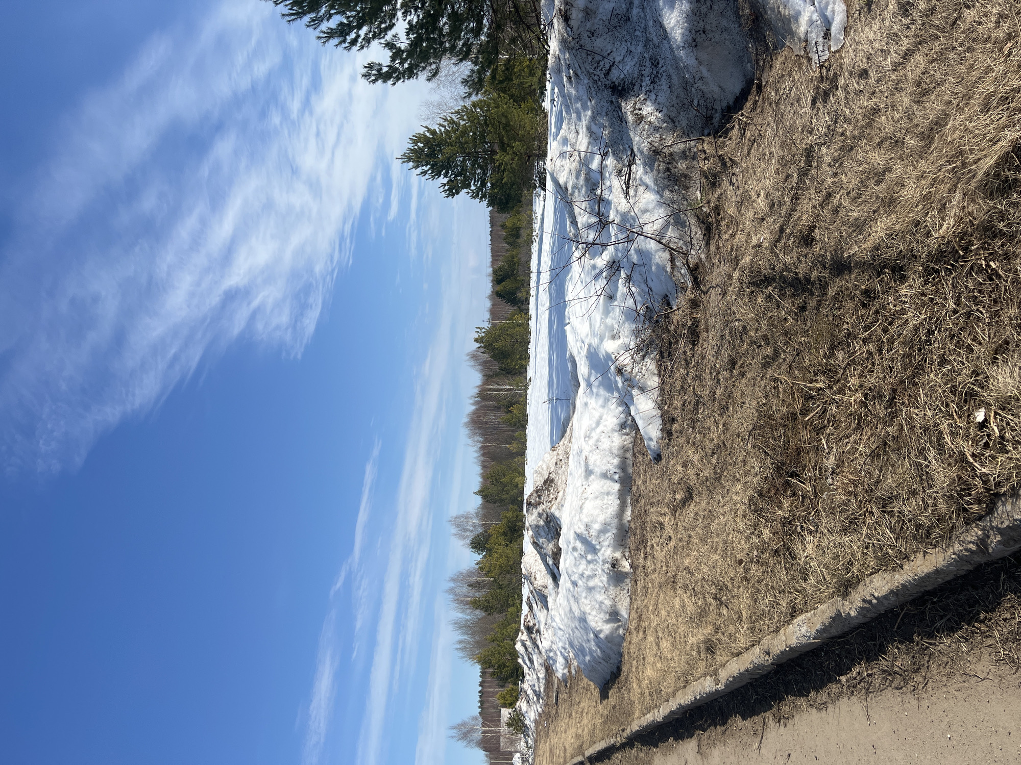 The image presents an outdoor landscape in Markovskii, Russia, under a bright blue sky with elongated, wispy white clouds. The scene suggests an early spring transition from winter. A light-colored dirt path or road runs along the left side of the frame, separated from the adjacent terrain by a weathered concrete curb. To the right of the curb, the ground is covered in matted, dry brown grass and exposed earth. Irregular mounds of melting snow, discolored with dirt and debris, are distributed across the mid-ground. Beyond these mounds, a flatter field of patchy snow and dormant brown grass extends, interspersed with bare tree branches. The background features a dense line of mixed forest, composed of both bare deciduous trees and green coniferous trees. A faint, light-colored structure is partially visible through the trees on the far left horizon. Utility poles and lines are discernible above the distant treeline. The scene is brightly lit by natural sunlight, casting discernible shadows from the snow mounds and terrain irregularities. No individuals or animals are present.