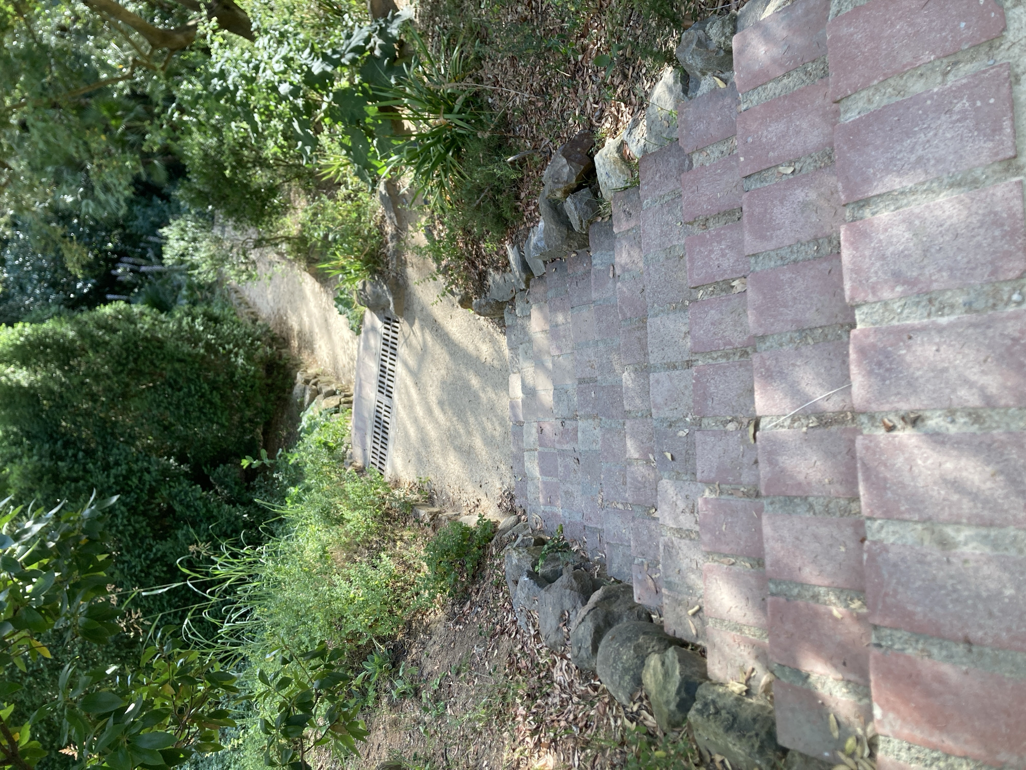 The image shows a descending stone staircase in a park setting. The staircase is constructed from reddish-brown bricks with light gray grout. The surrounding area is covered in dry leaves and dark soil. To the left of the staircase, there is a low retaining wall made of large, rounded stones. Beyond the wall, there is lush green vegetation, including bushes and trees, with some sunlight filtering through the leaves. To the right of the staircase, the terrain slopes upwards, also covered in vegetation. In the background, a sandy path curves upwards and away from the viewer, with a metal grate embedded in its surface. The overall environment suggests a natural, possibly wooded area within a city. While the specific location in Barcelona is not visible, the dense greenery and the style of the park infrastructure are consistent with many public parks in the city. There are no people or animals present in the image. The lighting indicates it is daytime, with dappled sunlight creating shadows on the staircase.
