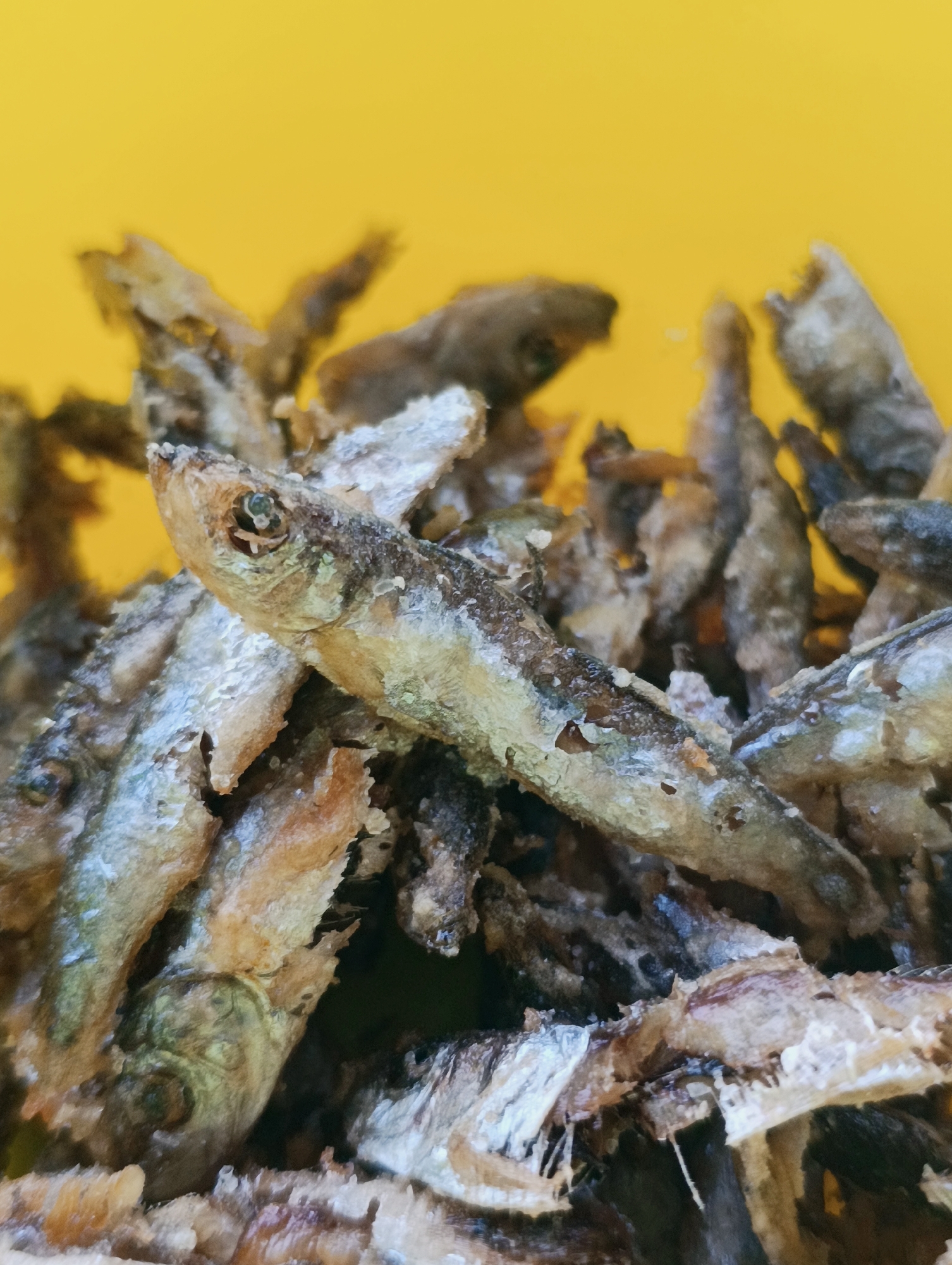 A close-up shot reveals a pile of small, fried fish against a solid yellow background. The fish are silver-gray with some darker browning due to the frying process. Details like their eyes and skeletal structure are visible. The surface texture of the fish suggests they've been fried to a crisp. There is no visible information to suggest a location in Shiroko pole, Bulgaria.