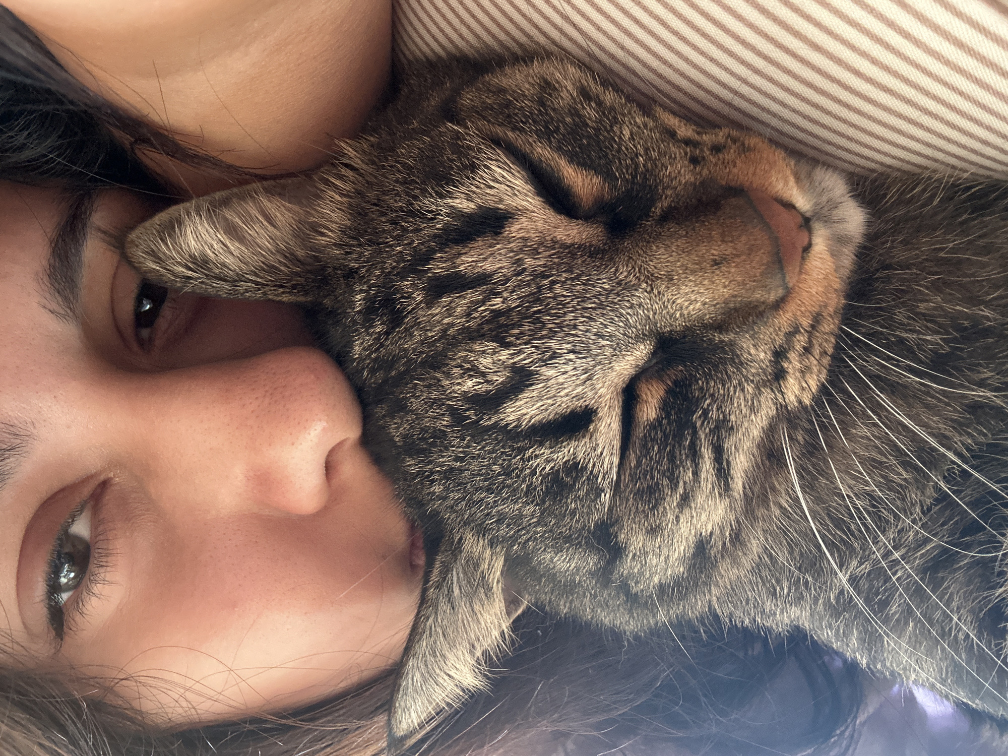A close-up, high-angle shot captures a tabby cat sleeping peacefully, nestled against the face of a person. The cat's eyes are closed, and its head rests on a striped pillow or blanket. The person's face is partially visible, with their eye looking towards the camera. Their dark hair frames the scene. The image appears to be taken indoors, possibly in a domestic setting. There is no visible indication of the city of Khyrdalan, Azerbaijan.