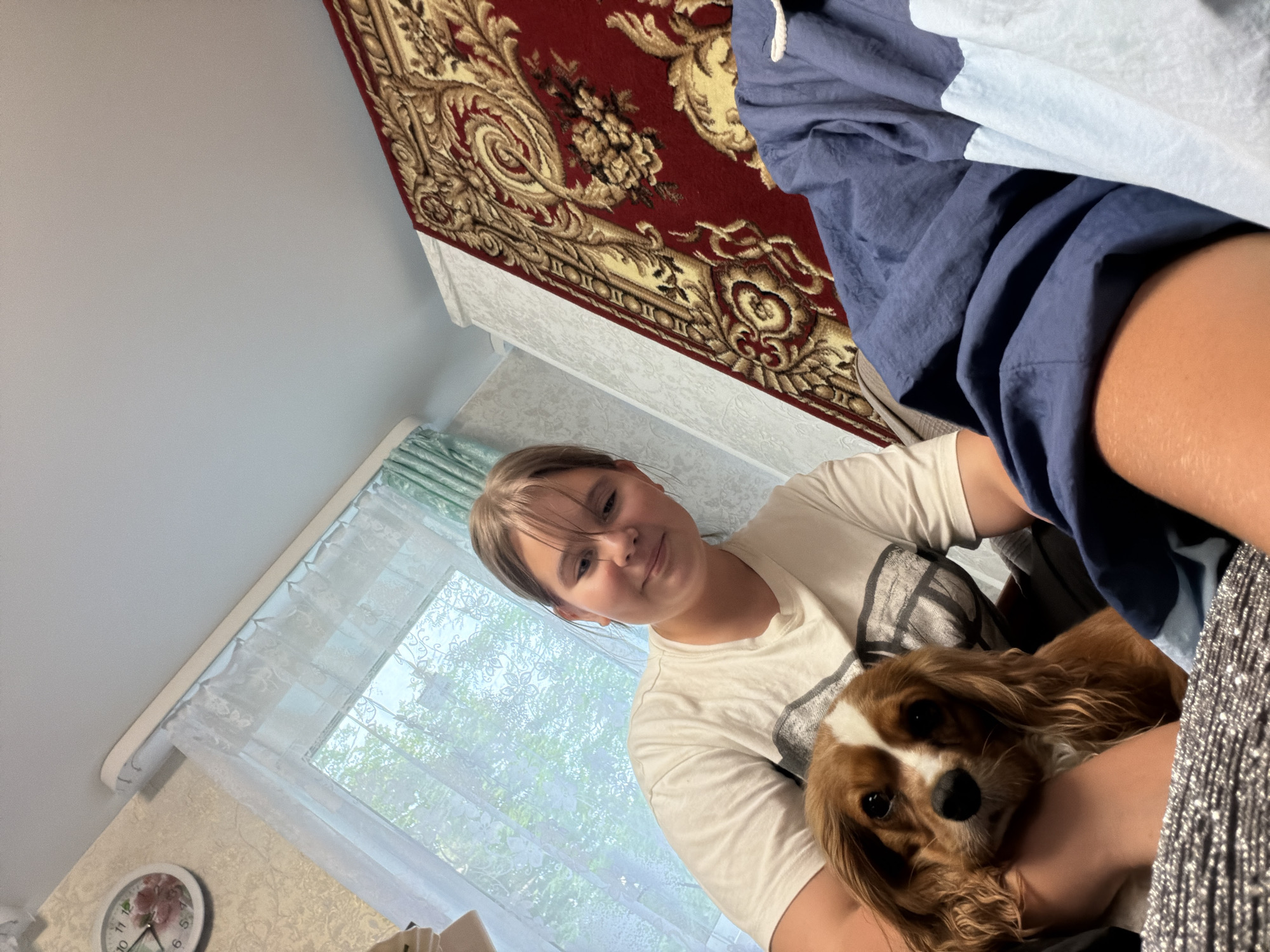 In this indoor, medium shot, a young person with blonde hair is holding a Cavalier King Charles Spaniel. The person is wearing a white t-shirt with a black graphic. The dog, a reddish-brown color with white markings on its face, is resting on the person's lap. The background shows a wall with a patterned wallpaper, a window with sheer curtains, and a portion of a red and gold patterned rug on the wall. There is also a blue and white patterned blanket or comforter. A circular clock with a floral design is visible on the wall to the left of the window. The overall lighting suggests it is daytime. The scene appears to be a home setting in Бронница, Russia. The person has a slight smile, and the dog looks calm.