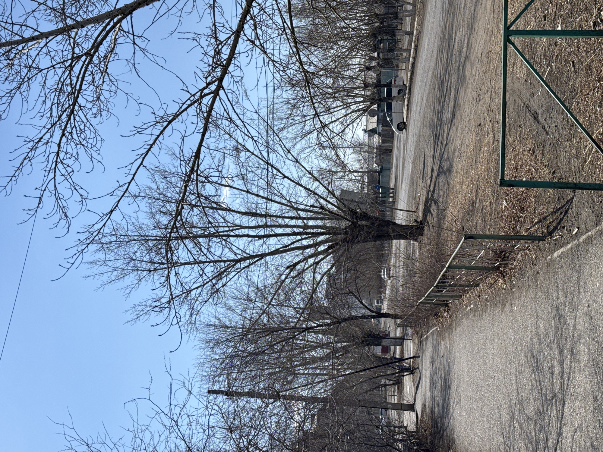This media file captures an outdoor scene in what appears to be late winter or early spring, characterized by bare trees under a clear, bright blue sky. The image depicts a quiet, semi-urban environment in Borzya, Russia, during daytime, with sunlight casting long shadows on the ground.
In the foreground and mid-ground, numerous deciduous trees with intricate networks of bare branches dominate the upper and left portions of the frame. Some thick branches extend into the extreme foreground, framing the view. A wide, unpaved or lightly asphalted path stretches through the scene, curving gently into the distance towards the left.
To the right of the path, a sturdy green metal fence stands, with some dry leaves and sparse, dormant vegetation on the ground next to it. Along the left side of the path, a lighter-colored van or minivan (possibly white or silver) is parked. Further down the path, other vehicles and indistinct buildings are visible through the bare trees. A thin power line can be seen crossing the clear blue sky in the upper left section. No specific activities involving people are taking place, and no visible text is discernible in the image.