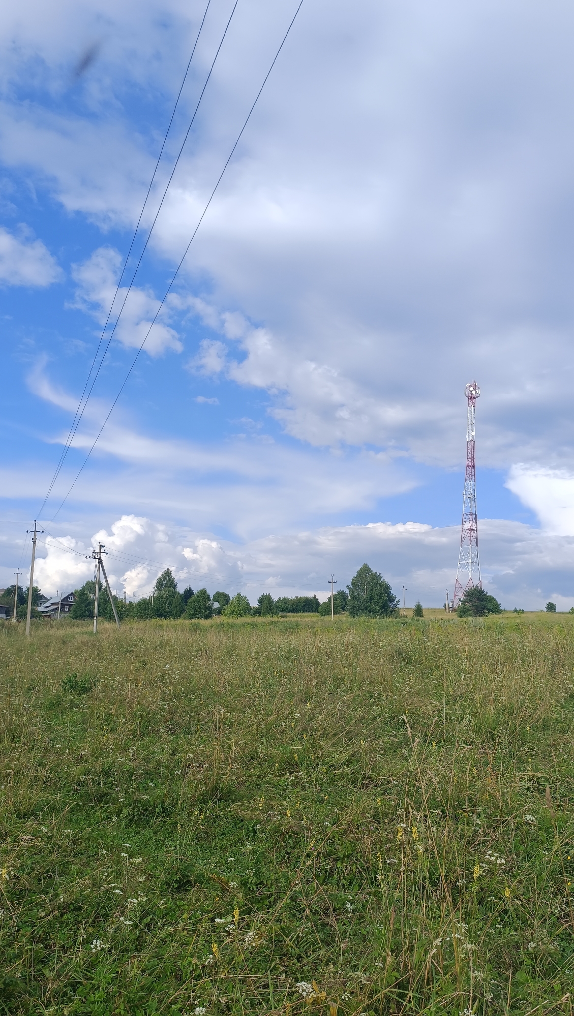 The image depicts a rural landscape in Karsha, Russia, under a partly cloudy sky. A tall, red and white telecommunications tower stands prominently in the mid-ground on the right. In the left mid-ground, a cluster of houses and trees are visible, with power lines stretching across the sky. The foreground is dominated by a field of tall, dry grass with scattered small white and yellow wildflowers. The overall scene is serene and natural, with a clear contrast between the man-made tower and the wild vegetation.