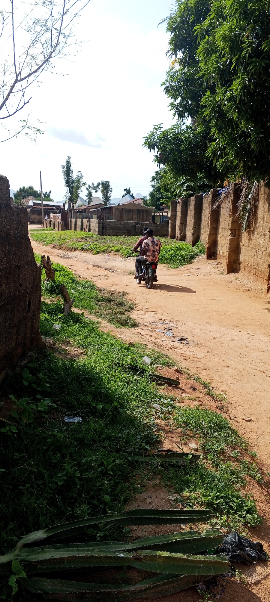 In Jalingo, Nigeria, a dirt road winds through a residential area with low-lying buildings constructed of concrete blocks and mud. The road is lined with grass on one side and a textured, light brown stone wall on the other. A motorcycle carries two people, a driver and a passenger, moving away from the viewer down the road. The passenger is wearing a patterned shirt. A large tree with green leaves is visible on the right side of the image, partially obscuring a tall, rough-textured wall. In the foreground, several long, green, spiky plant stems lie on the ground next to a black plastic bag. The sky above is a bright, hazy white with some clouds, and the overall scene suggests a warm, sunny day in a rural or semi-urban setting.