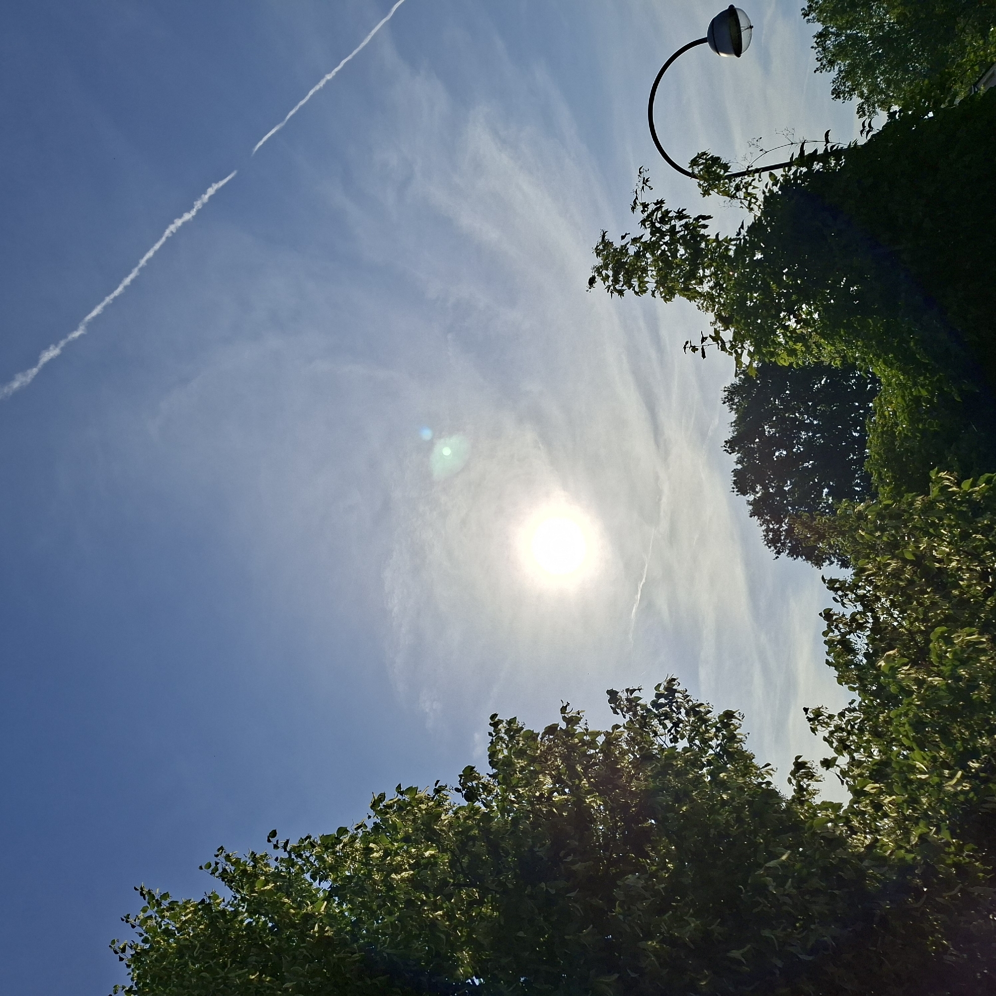 This is a low-angle, full shot of a sunny sky with scattered cirrus clouds. Two contrails from airplanes are visible, one stretching across the upper left quadrant of the image, and another, shorter and more diffused, near the center. The sun is shining brightly, creating a lens flare and a subtle green and blue halo effect. In the foreground, the tops of trees with lush green foliage fill the bottom and right sides of the frame. A curved lamppost with a rounded, partially translucent head is visible extending from the top right corner, with ivy growing around its base. The time of day appears to be midday, given the brightness of the sun and the clear blue of the sky. The setting suggests an outdoor urban or park environment in Baden-Baden, Germany, where trees and streetlights are common. There are no people or visible text in the image. The overall mood is bright and serene.