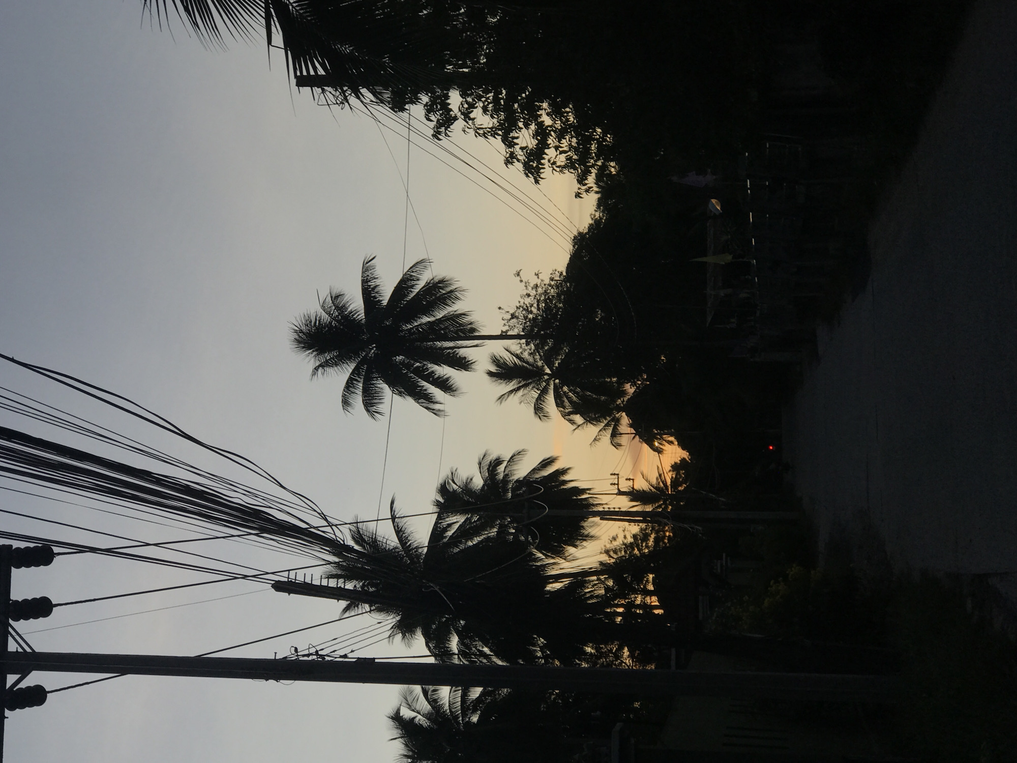 The image depicts a street scene at dusk in Baan Mae Nam, Thailand. Silhouetted against a pale orange and grey sky are several coconut palm trees and other foliage, with a tangled network of overhead power lines dominating the upper portion of the frame. A utility pole stands prominently on the left. The street itself, paved and leading into the distance, is dark, as are the structures lining its sides. A single red light, possibly from a vehicle or a sign, is visible in the far distance. The overall impression is one of a rural or semi-rural area transitioning from day to night.