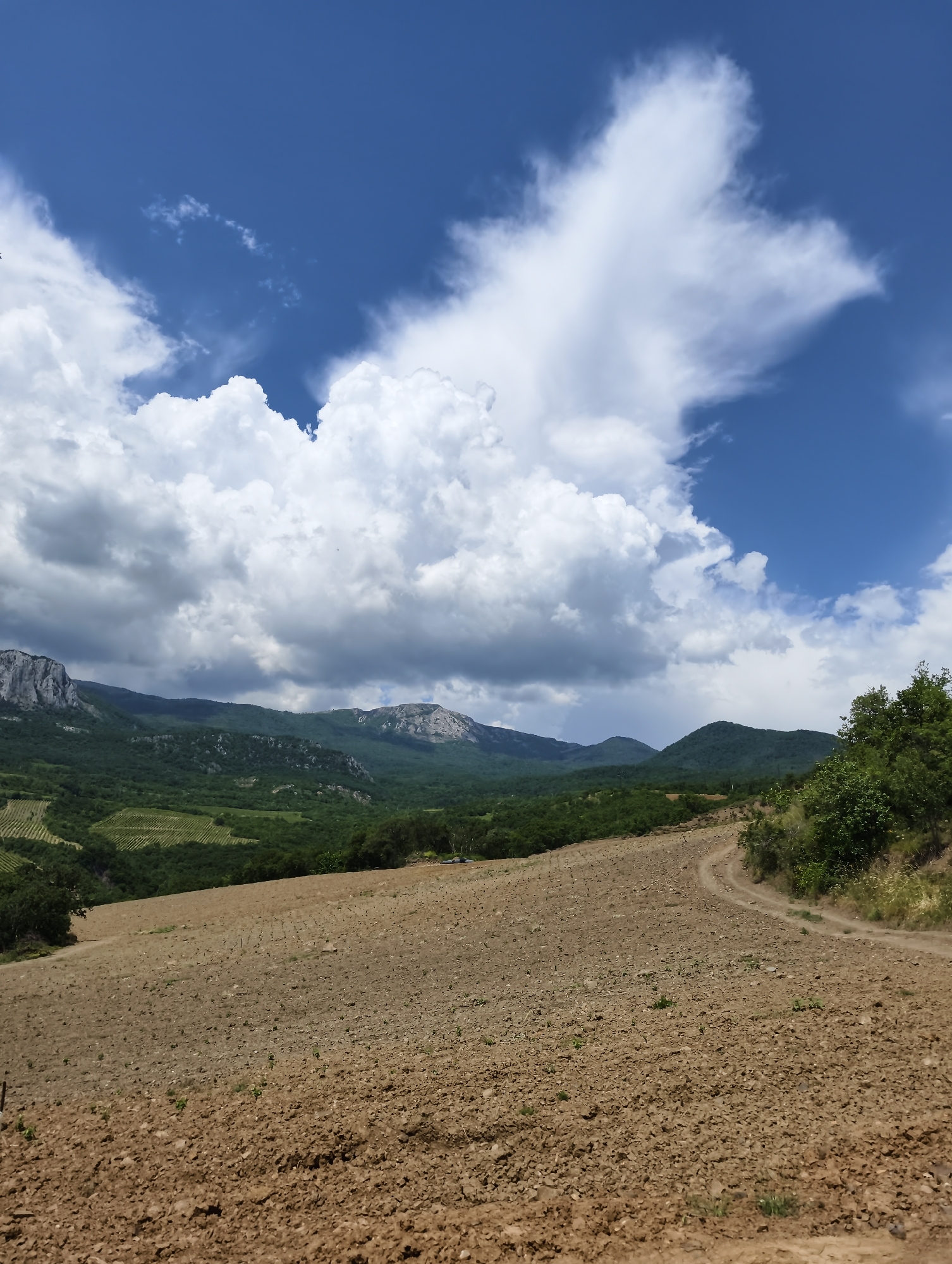 A wide-angle, vertical shot captures a natural landscape under a partly cloudy sky. In the foreground, a tilled field of brown earth extends diagonally from the bottom right towards the left. A dirt road curves along the right edge of the field, leading into the distance. Beyond the field, rolling green hills and mountains form the midground, covered with dense vegetation. The sky above is a vibrant blue, punctuated by large, white cumulus clouds, with a distinct plume of white cloud stretching across the upper portion of the image. The scene appears to be located in a rural or mountainous area, possibly on the outskirts of Chaika, Ukraine, given the agricultural and natural setting. There are no people or animals visible in the image.