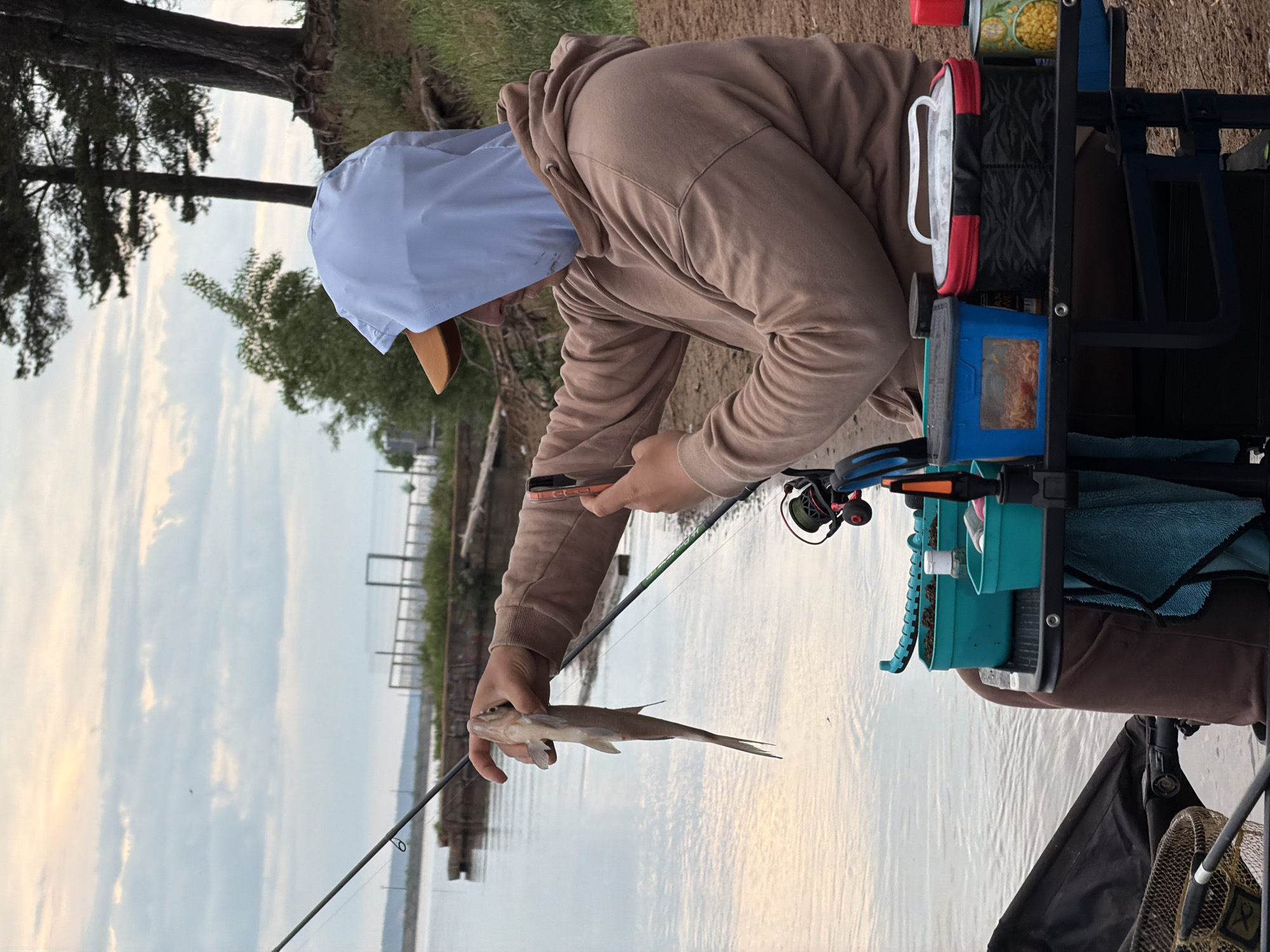 A person in a beige hoodie and a light blue cap is fishing at a lake in what appears to be Chaikovsky, Russia. They are sitting on a fishing chair with various fishing gear attached to it, including containers, bags, and towels. The person is holding a small fish in their left hand while holding a smartphone in their right. A fishing rod extends from the left side of the frame, angling towards the water. In the background, a calm body of water stretches out towards a horizon with a slightly cloudy sky. Vegetation and a fence can be seen along the bank in the mid-ground. A few trees are visible to the left of the person.