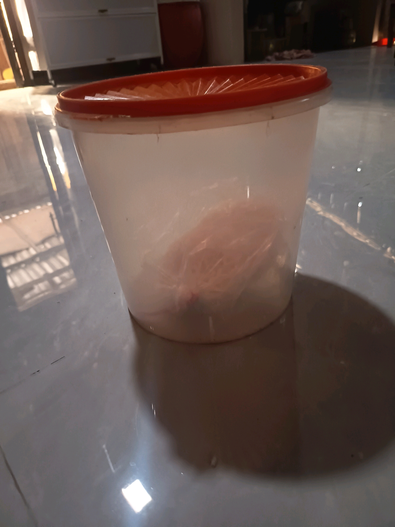 A translucent plastic container with an orange lid sits on a tiled floor in a dimly lit room. Inside the container, a light-colored object wrapped in plastic is visible. The floor is reflective, showing a distorted reflection of overhead lighting and a light-colored structure in the background. The overall lighting suggests the image was taken indoors with artificial light. The location of Sidorejo, Indonesia is not discernible from the image content.