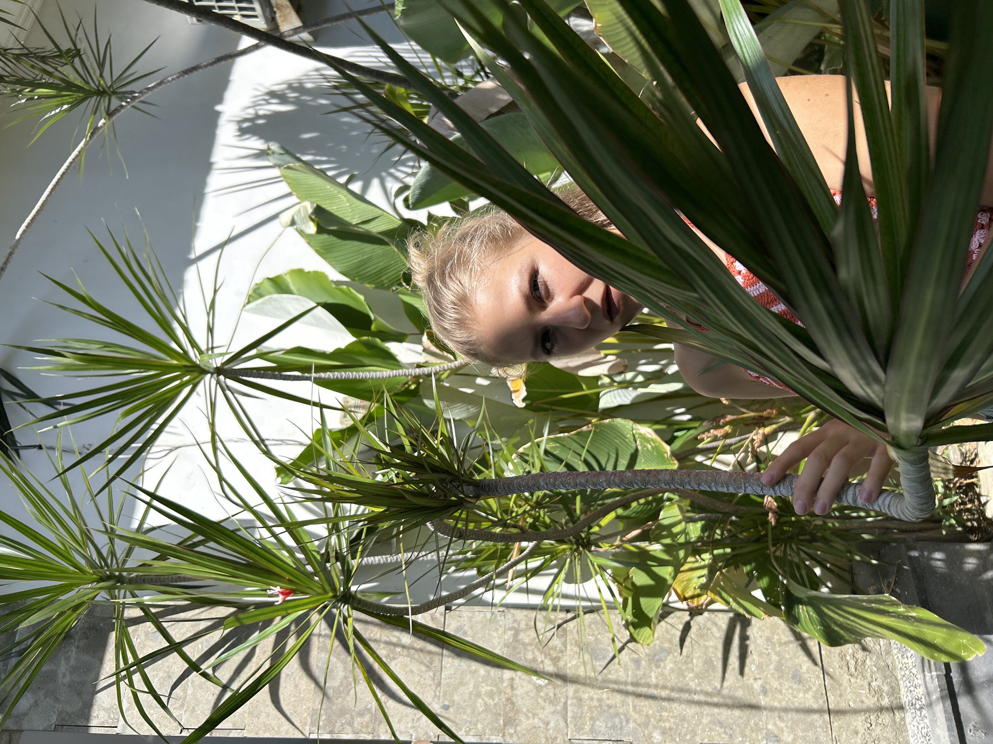 A fair-skinned woman with blonde hair stands among lush, green tropical foliage, possibly in a garden. The woman gazes into the camera with a slight smile. Her shoulders, visible in the top right, are covered in a red and white checkered top. Palm fronds and other verdant plants surround her, both framing and partially obscuring her face and upper body. The plants are located in concrete beds with grey textured floors. Bright sunlight casts shadows across the white wall in the background. The location may be Kuta Selatan, Indonesia, given the types of flora present.