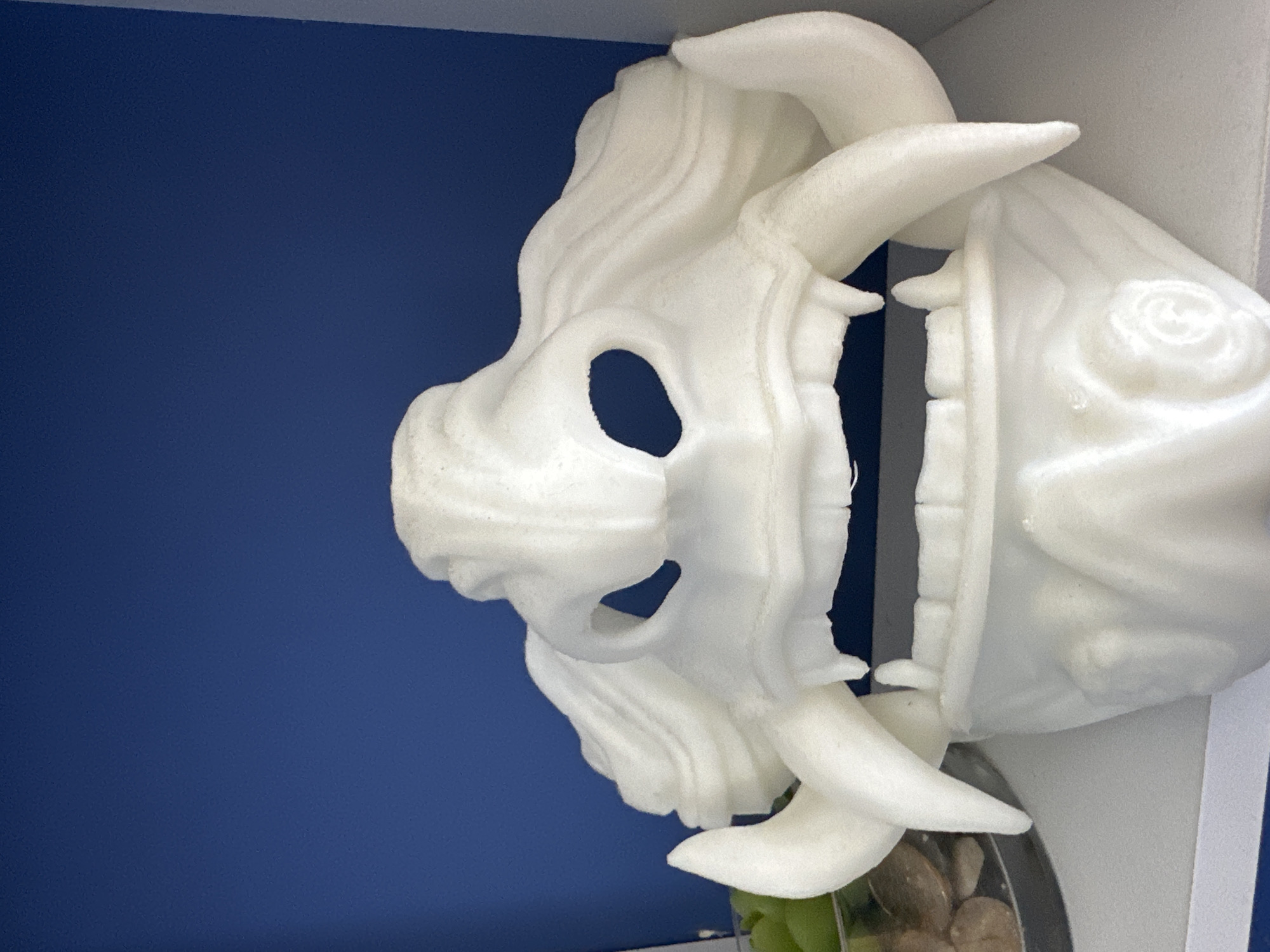 A 3D printed white mask is positioned against a royal blue background. The mask has a stylized appearance with prominent horns, a defined nose area, eye holes, and visible teeth. The mask appears to be resting on a shelf or platform, with a partial view of a dish containing rocks and green plants visible below it. The location is Unknown, Unknown.