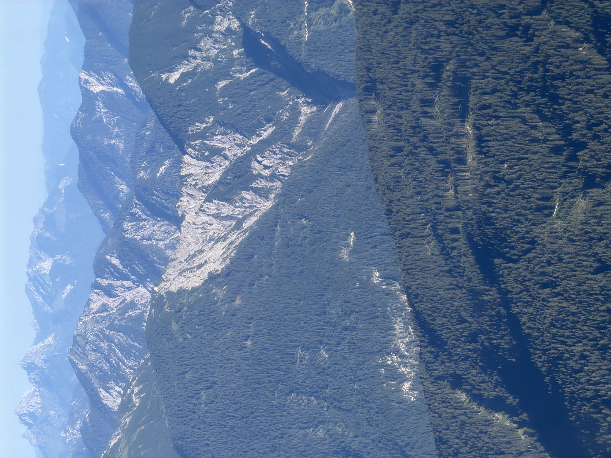 The image captures a vast mountainous landscape with layers of peaks and slopes receding into the distance. In the foreground, a densely forested mountainside is visible, covered in dark green coniferous trees. The trees create a textured surface, with shadows suggesting the uneven terrain. Further back, lighter-colored, rocky mountain slopes are exposed, appearing rugged and steep. These rocky areas are interspersed with patches of forest. In the far background, a range of softer, more muted blue-toned mountains are visible, with their peaks fading into a hazy sky. The scene is devoid of any human presence or man-made structures. It is a natural panorama of alpine terrain.