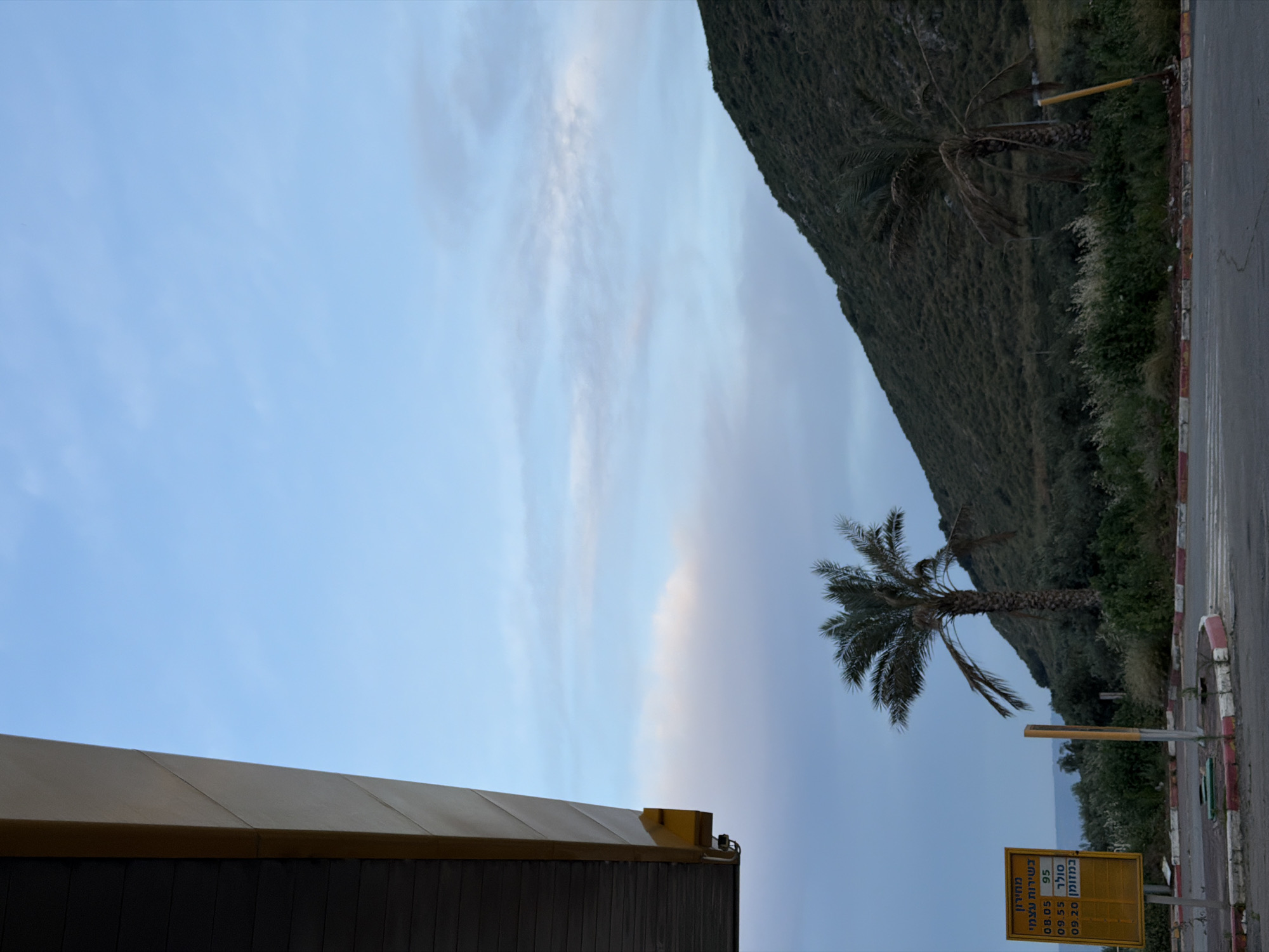 This image, when correctly oriented, depicts a serene outdoor scene in Migdal, Israel, featuring a mix of natural landscape and roadside infrastructure. On the right side, a verdant, steep mountain or hill dominates, covered in dark green vegetation. A paved road with a distinctive red and white curb runs along the base of this natural feature.
A prominent palm tree stands in the middle ground beside the road, its fronds gently silhouetted against the sky. Another, less distinct palm tree is visible further up the hill. To the left, a modern building with a dark brown, vertically paneled lower section and a flat, light brown/yellow roof is partially visible, suggesting a commercial establishment.
The sky above is a soft, clear blue with delicate, wispy clouds, indicating either early morning or late afternoon light. In the distance, a body of water, likely the Sea of Galilee, can be faintly seen between the mountain and the building.
A key detail is a yellow sign located in the lower right, displaying Hebrew text. The sign reads "תחנת דלק" (Gas Station) and "מחירון" (Price List). It lists "בשרות עצמי" (Self-service) and fuel prices: "סולר" (Diesel) at 09.55, "95" (octane) at 08.05, and "במתומ" at 09.20. There are no people visible, and no specific activities are taking place, creating a tranquil snapshot of the area.