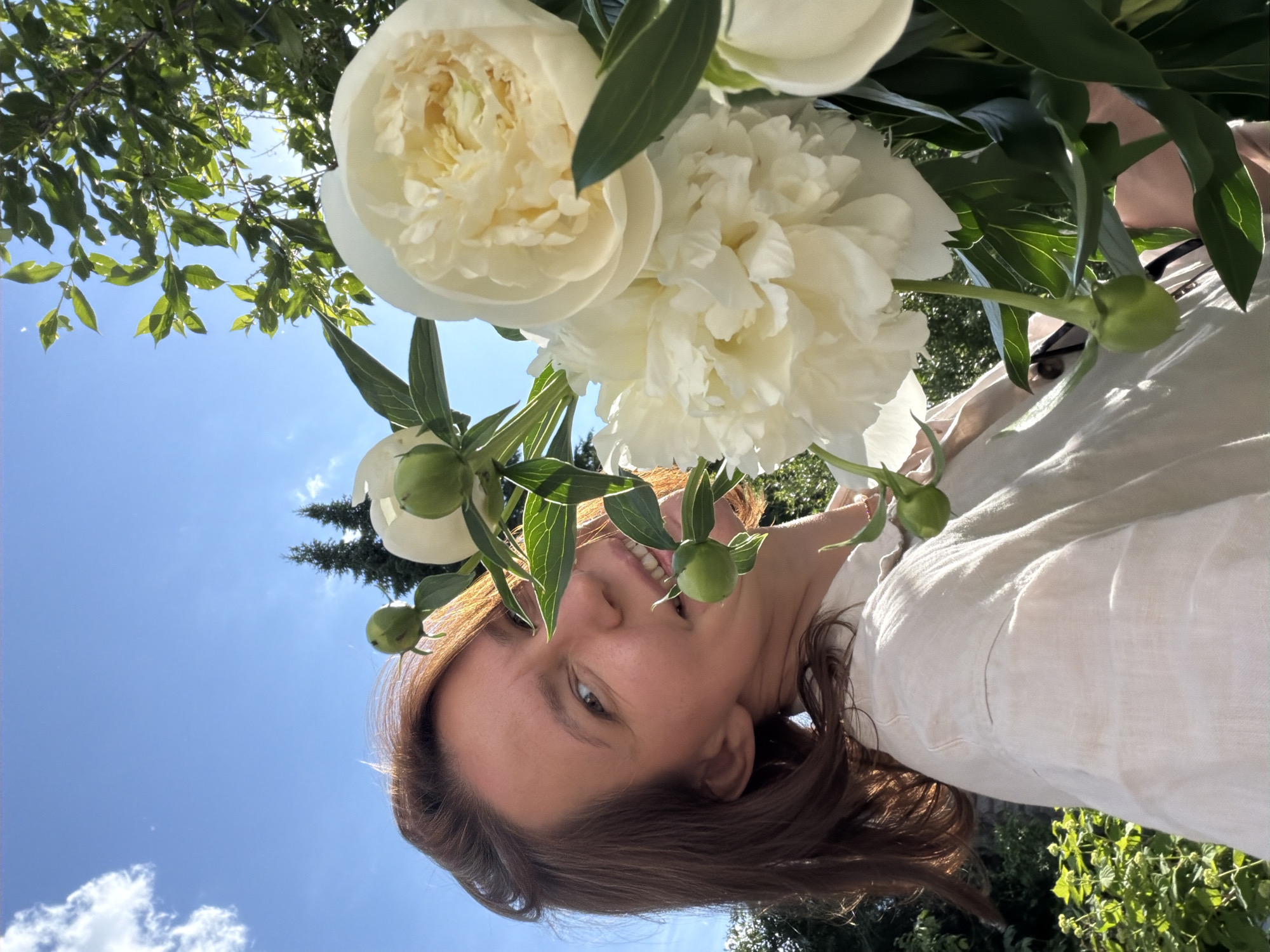 A female individual is depicted outdoors in Прикамский, Russia, on a bright, sunny day. The subject, with light brown hair, is positioned in the lower left and center, partially obscured by a cluster of large, white to pale yellow peonies. Her face is visible, smiling, with her gaze directed towards the viewer. She is wearing a light-colored, possibly off-white or beige, collared shirt with a visible woven texture. Several green peony buds are interspersed among the fully bloomed flowers and their dark green leaves. The background features a clear blue sky with a singular white cloud in the upper left quadrant, along with green deciduous foliage and two distinct conifer trees against the sky in the upper right. The photograph is taken from a low angle, looking upwards.