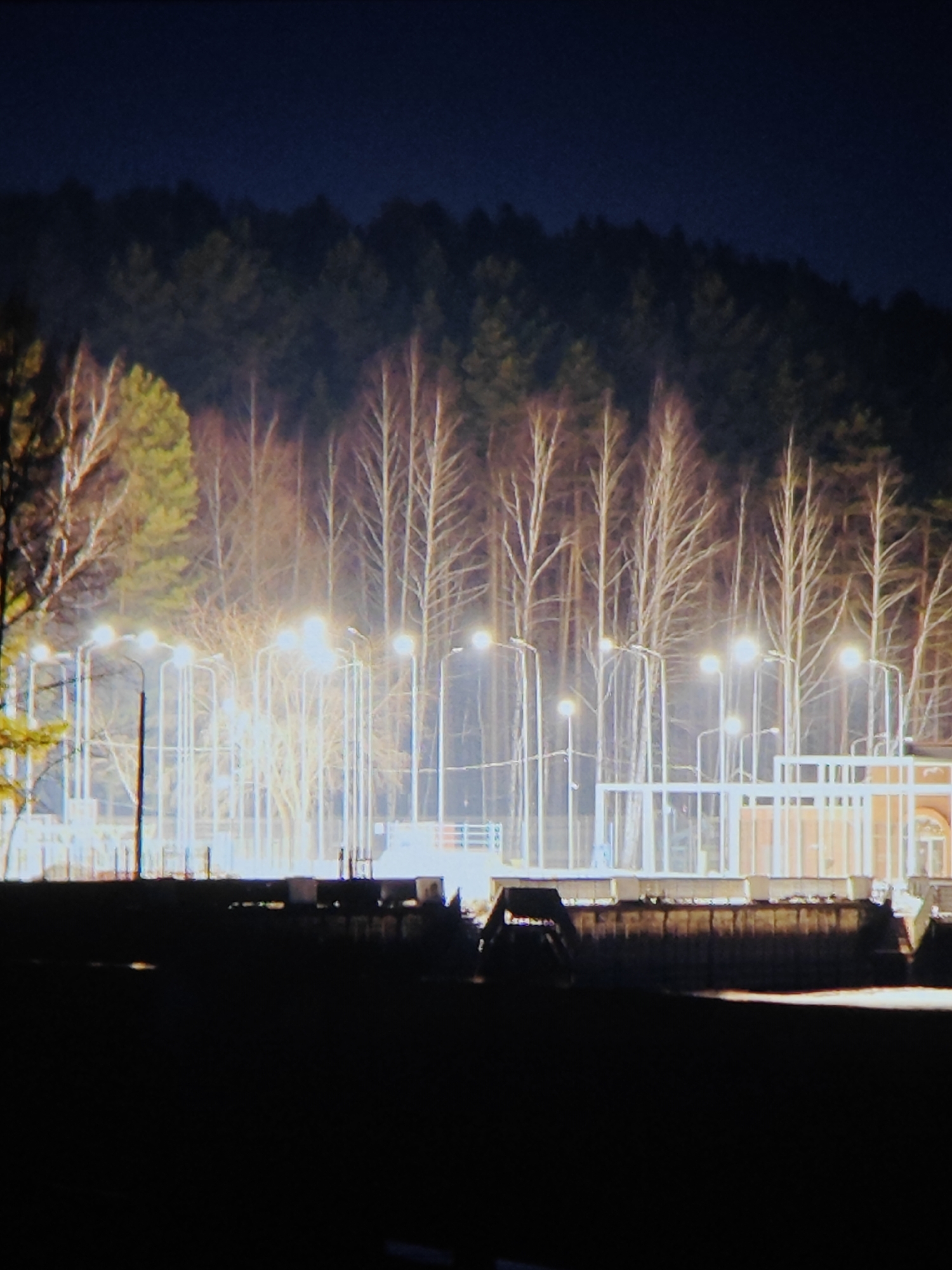 The image depicts an outdoor scene at night, likely in the city of Chaikovsky, Russia. A dense forest forms the backdrop, partially obscuring the dark night sky. A line of bare birch trees stands in front of the forest, illuminated by numerous streetlights. These streetlights are positioned in a grid-like pattern, suggesting a park or public area. In the foreground, there's a low structure, possibly a fence or barrier, silhouetted against the light. The bottom of the image is shrouded in darkness, making it difficult to discern details about the ground. The scene appears to be peaceful and quiet, with no visible signs of people or activity. The architecture in the midground hints at a building or structure behind the fence.