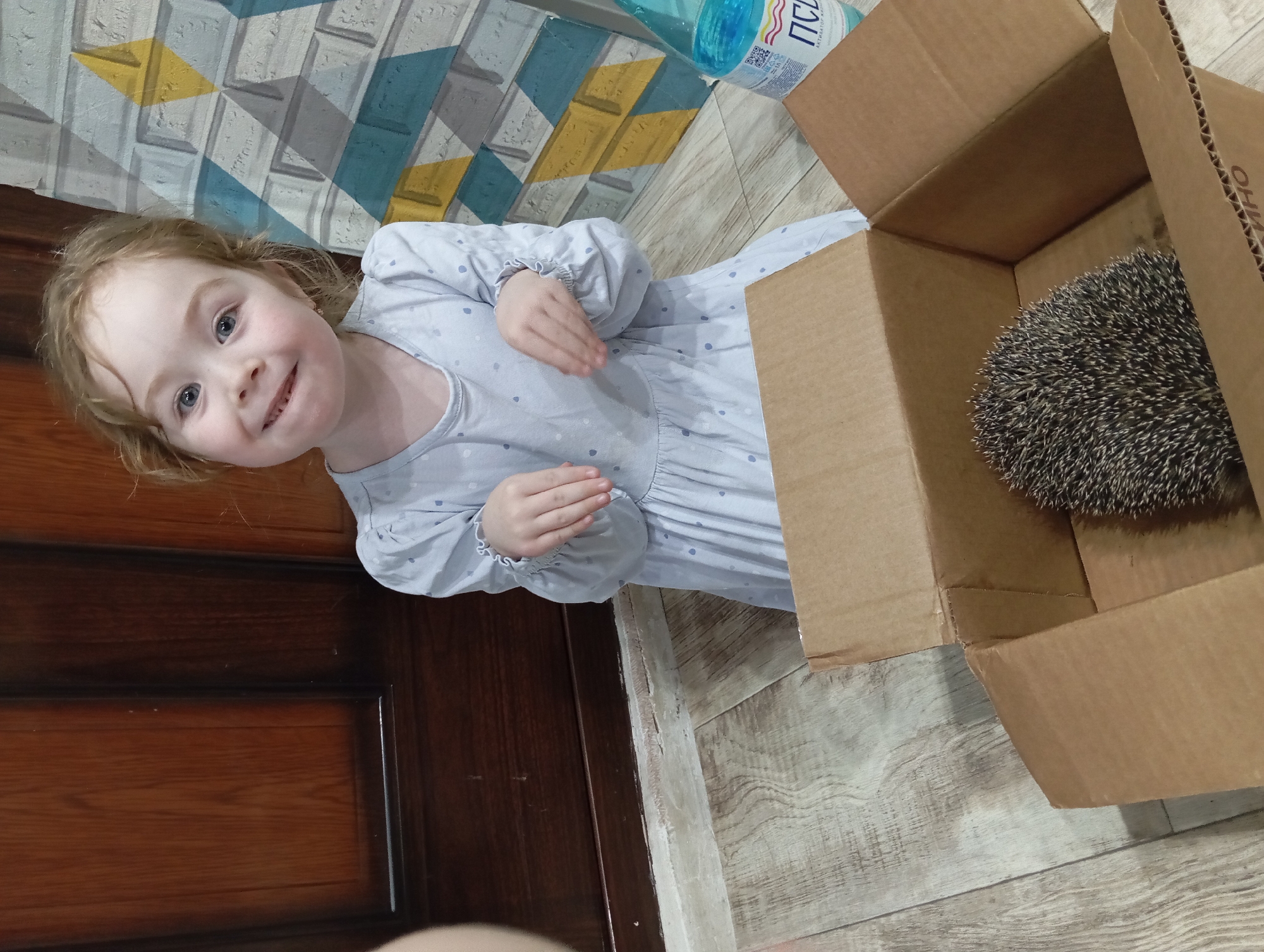 An indoor scene shows a young child and a hedgehog. A fair-skinned girl with light brown, wavy hair and blue eyes, appears in the left foreground, looking up and smiling towards the camera. She wears a light blue long-sleeved dress with small white polka dots, and her hands are clasped together in front of her.
To her right, an open brown cardboard box sits on the floor. Inside the box, a hedgehog is curled up, its dark and light-tipped spines clearly visible. A light blue plastic bottle with some Cyrillic text, including "ПСЫ" (PSY - meaning "dogs") and possibly "АКВА" (AKVA - aqua), is partially visible behind the box.
The setting appears to be a room with light-colored, wood-patterned laminate or vinyl flooring. The wall in the background features a distinctive geometric wallpaper pattern with elements of grey, white, yellow, and blue shapes. A dark brown wooden door is partially visible along the left side of the frame. The overall impression is one of a domestic setting, with the child expressing curiosity or delight at the hedgehog in the box. The image is taken from a slightly high angle, looking down at the subjects.