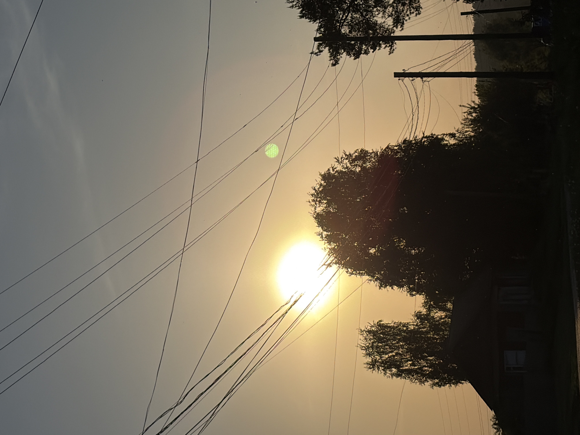 The image depicts a scene at dusk or dawn in Чумна, Russia, characterized by a low sun obscured by trees and power lines. The sky is a hazy mix of grey and yellow. There are numerous power lines crisscrossing the foreground and midground, supported by utility poles. Dark foliage, including trees, lines the right side of the image, partially obscuring what appears to be a building. A green, circular light anomaly is visible in the sky.