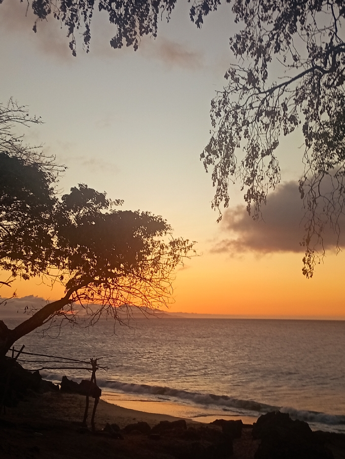This image depicts a coastal scene in Juan Griego, Venezuela, during twilight, characterized by a prominent sunset. The horizon is bisected by the sea, which occupies the lower half of the frame and reflects the sky's colors. The sky transitions from a light blue-grey at the top to a vibrant orange-yellow at the horizon, with scattered dark clouds visible, particularly on the right. Gentle waves are breaking on a narrow strip of sand along the shoreline. Dark rocks are present on the beach and in the immediate foreground.
A large, silhouetted tree with visible branches and some foliage dominates the left side, its trunk leaning rightward, and its canopy extending into the upper left sky. Additional dark, leafy tree branches hang into the frame from the top edges, creating a natural border. On the ground beneath the main tree, a rustic, low wooden structure composed of several vertical and horizontal poles is visible. Distant land masses appear as faint silhouettes on the far left horizon. No individuals or animals are present. The scene is backlit, casting foreground elements into silhouette against the bright sky and sea.