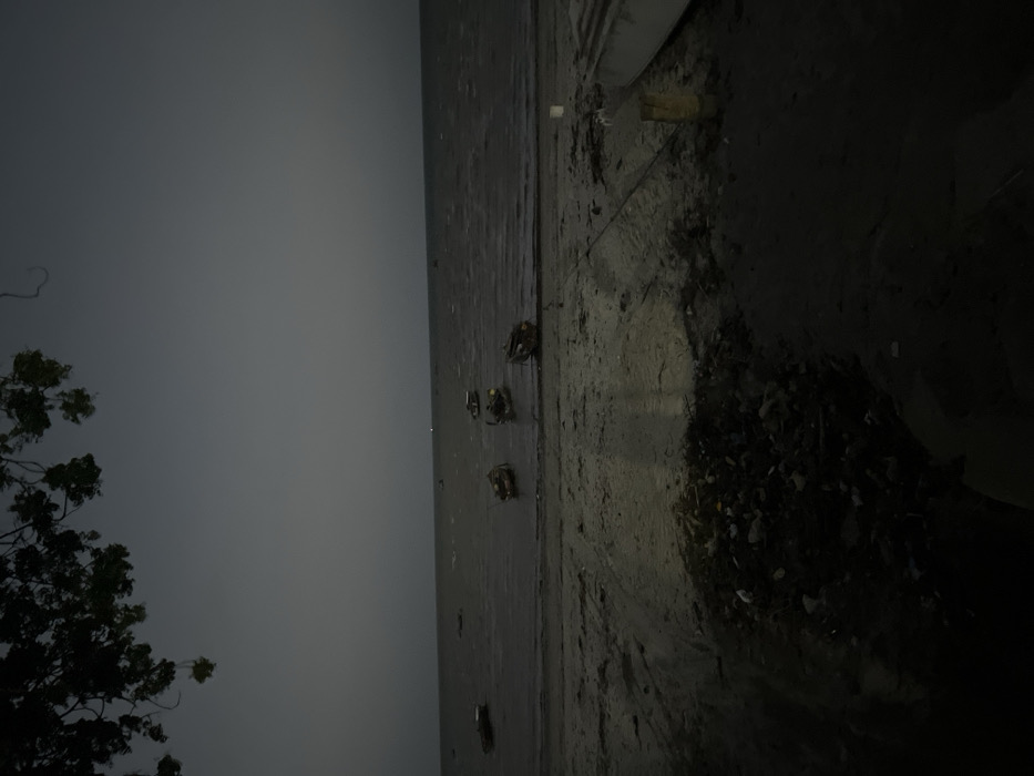 This media file captures a dark, low-light scene, likely at night or during very early morning hours, in what appears to be a coastal or riverine setting. The image is oriented vertically but depicts a horizontal landscape.
The sky, occupying a significant portion of the upper left, is uniformly dark grey, suggesting either overcast conditions or deep twilight. To the lower left, the dark silhouette of a tree with dense foliage is visible, its branches reaching into the frame.
The central and right portions of the image feature a calm body of water (consistent with a sea or estuary in Bagamoyo) that transitions into a sandy or muddy shoreline on the far right. Several dark, blocky objects are present in the water, close to the shore. These objects appear to be small, traditional fishing boats or fishing traps, possibly made of wood, and are either moored or resting on exposed mudflats during low tide. They are somewhat evenly spaced along the water's edge.
The shoreline itself is a mix of muted tones, with patches of dark debris, possibly fallen leaves, branches, or other refuse, especially concentrated in the lower right corner. The overall lighting is extremely dim, with no obvious artificial light sources illuminating the scene, contributing to a somber and tranquil atmosphere. No people or visible text are present in the image.