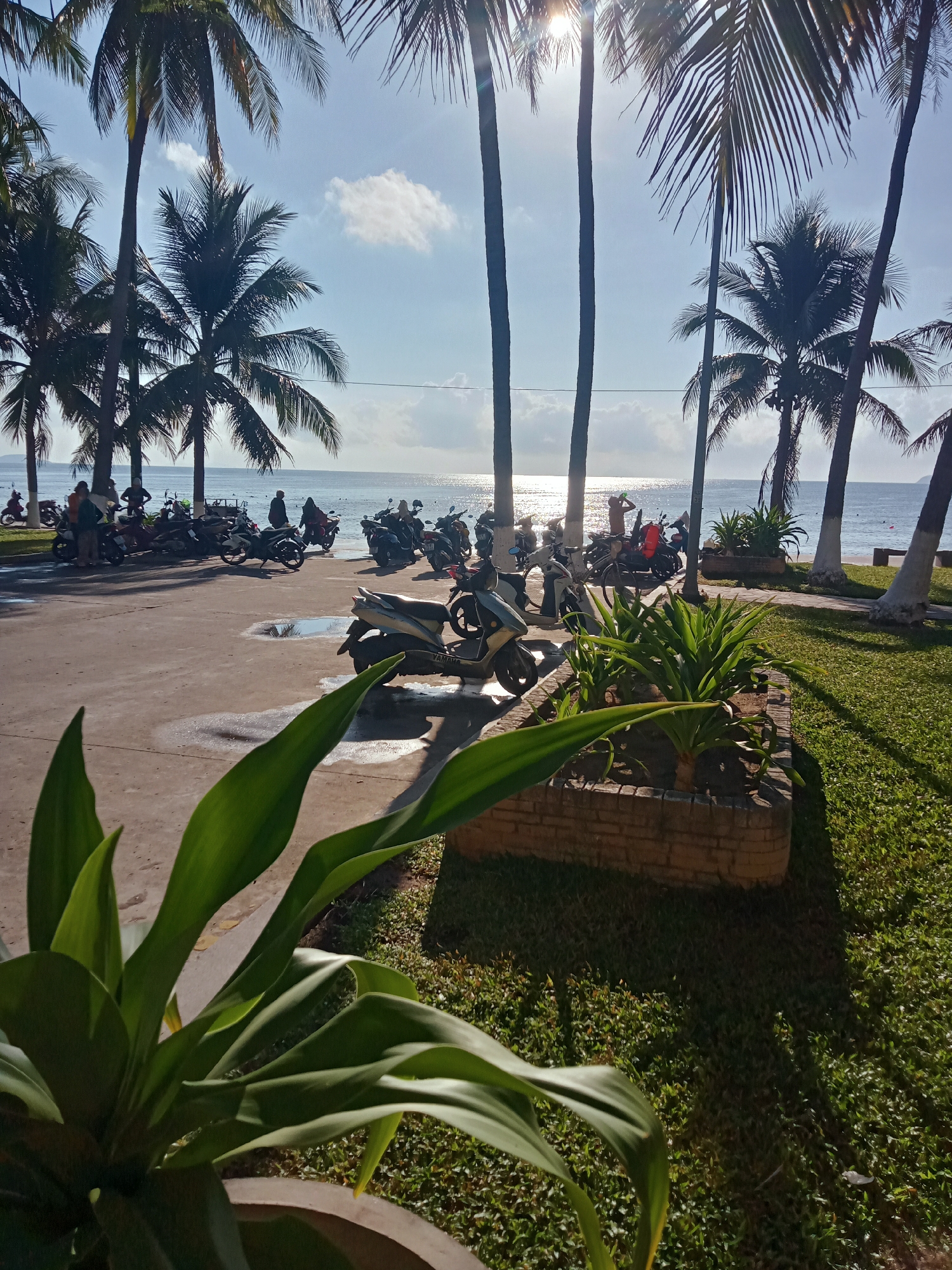 The scene depicts a coastal area in Nha Trang Ward, Vietnam, characterized by a paved parking lot adjacent to a sandy beach. Several motorbikes are parked on the concrete surface. Palm trees line the perimeter of the lot, framing the beach and ocean view. The sun shines brightly through the trees, creating a glare on the water. There are people visible on the beach and near the parked motorbikes. A planter with green foliage is in the foreground. The grass is well maintained.