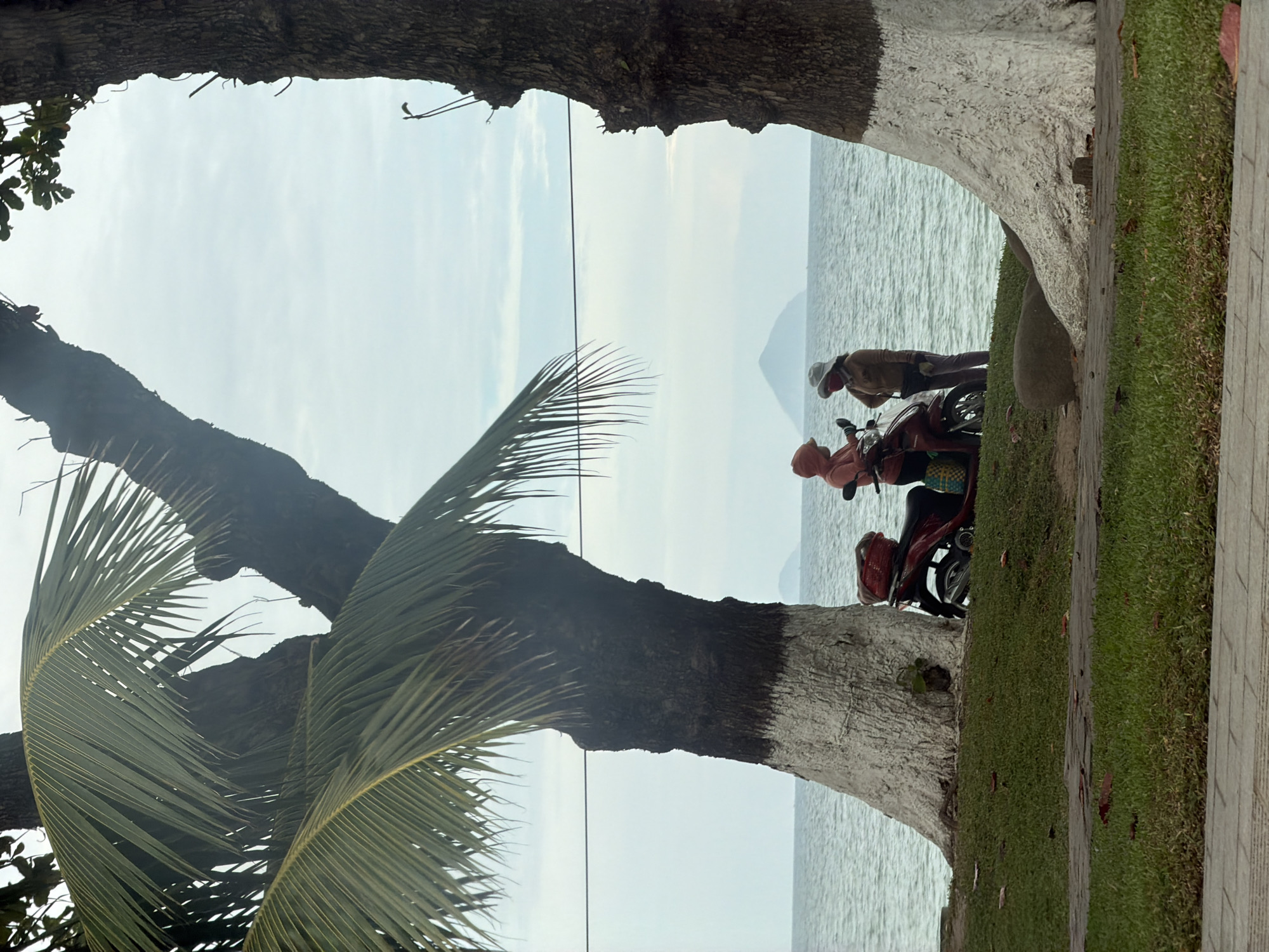 A tranquil seascape is framed by the bark of two trees, a palm frond gracefully arching from the left. In the middle ground, two individuals are positioned near the edge of the water by a parked red motorbike. The background reveals a muted ocean expanse under an overcast sky, with a distant landform subtly breaking the horizon. The foreground includes a section of grass bordering a paved area. The scene depicts a quiet moment, likely along the coast of Nha Trang Ward, Vietnam.
