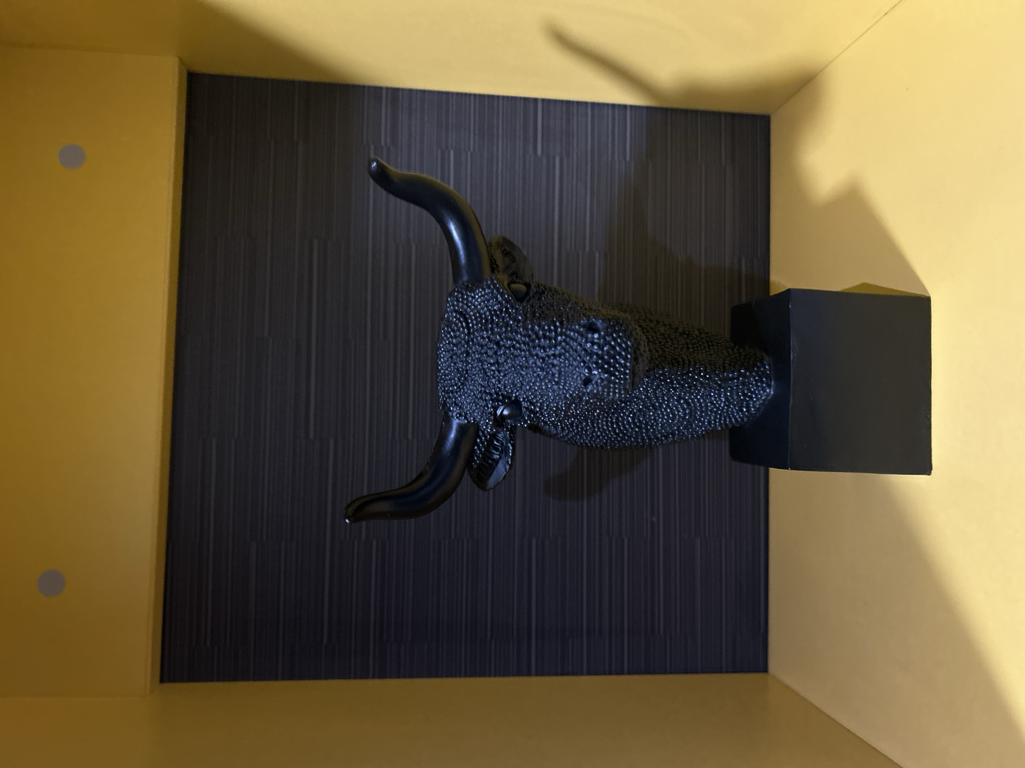 A close-up, indoor shot depicts a bull head sculpture mounted on a wall inside an unspecified space. The bull's head is black, textured with small bumps covering its surface, and it has curved horns. It is mounted on a black, rectangular block. The wall behind the sculpture is dark grey with subtle vertical lines. The surrounding walls of the space are a mustard yellow color. A grey circular shape is visible on the left yellow wall. The scene is lit from above, casting a soft shadow on the right yellow wall. The location is identified as Varna, Bulgaria, but there is no further specific information about the place.