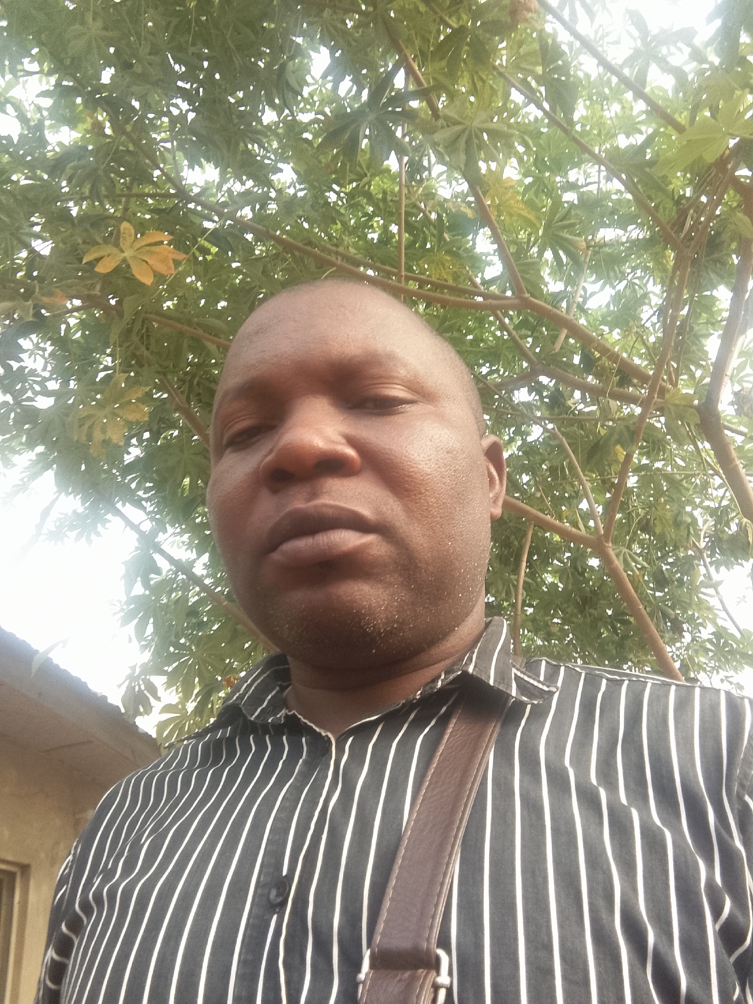 A close-up, upward-angle outdoor portrait captures a man, likely in his 30s or 40s, looking directly at the camera with a neutral expression. He has dark skin, a shaved or closely cropped head, and visible stubble on his chin and jawline. He is wearing a dark, possibly black or navy blue, collared shirt with prominent vertical white stripes, and the top button is unfastened. A brown leather-like strap of a bag or satchel is visible diagonally across his right shoulder.
The background is dominated by the lush green foliage and branches of a large tree or shrub, through which bright daylight is filtering, suggesting a daytime shot. One leaf in the upper-left background appears yellowish. In the lower-left corner, a small section of a light-colored building with a corrugated metal roof is partially visible. The overall scene suggests an outdoor setting, potentially in a rural or semi-urban area like Zango-ndaji, Nigeria. There is no visible text in the image.
