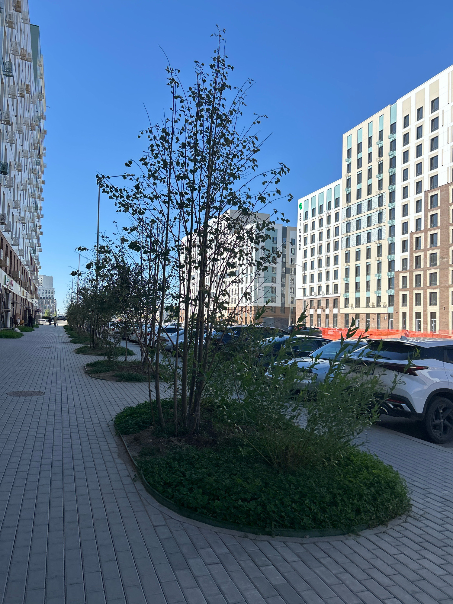 In the city of Astana, Kazakhstan, a sidewalk paved with gray interlocking bricks runs alongside a street lined with parked cars and modern residential buildings. A row of young trees with sparse foliage is planted in raised, mulched beds between the sidewalk and the street. The trees are casting shadows onto the sidewalk, indicating a sunny day. The buildings on the right are tall and multi-story, with a facade of white, beige, and brown panels, and numerous windows. A prominent green logo, which appears to be "Bai QONQ" is visible on one of the buildings. On the left side of the image, another tall residential building with a white facade and rows of balconies is visible. The sky is clear and blue. The scene depicts an urban environment with new construction and landscaping.